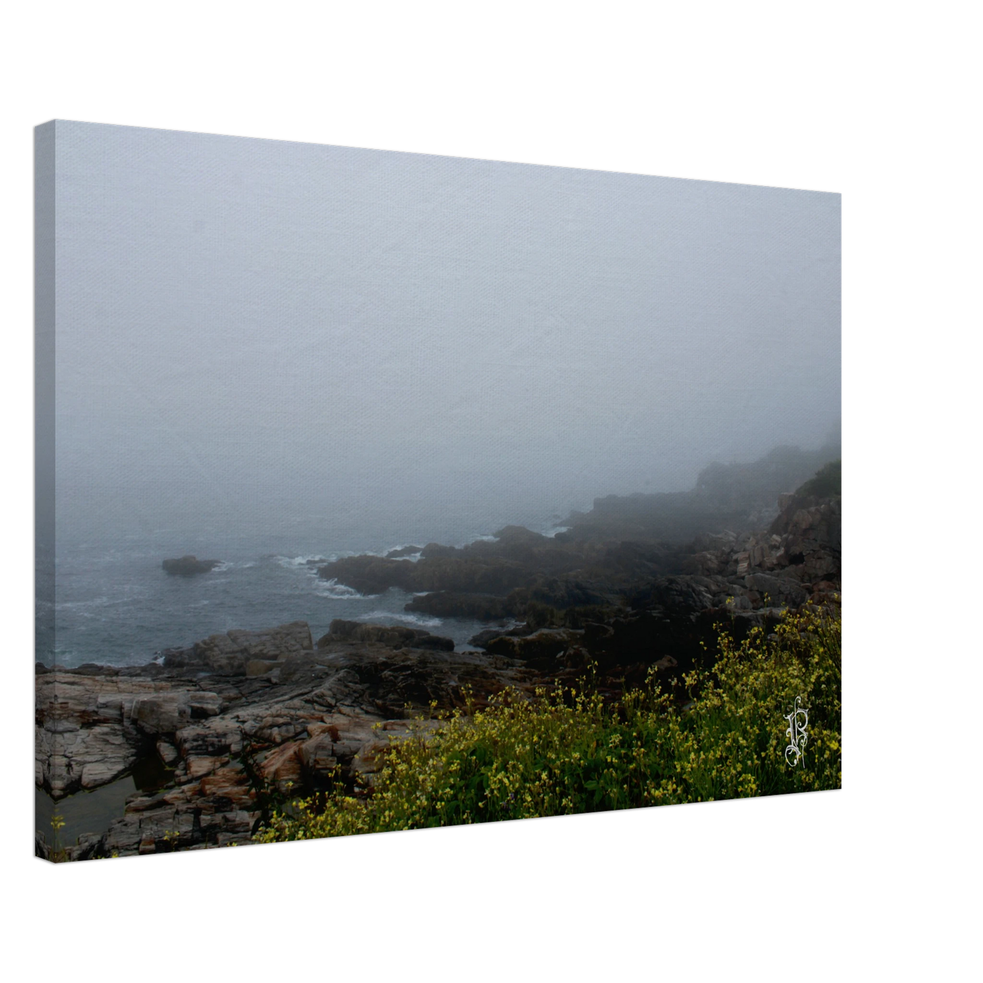 025dc93d-e6e7-4665-b74d-9b9e5079f4b9