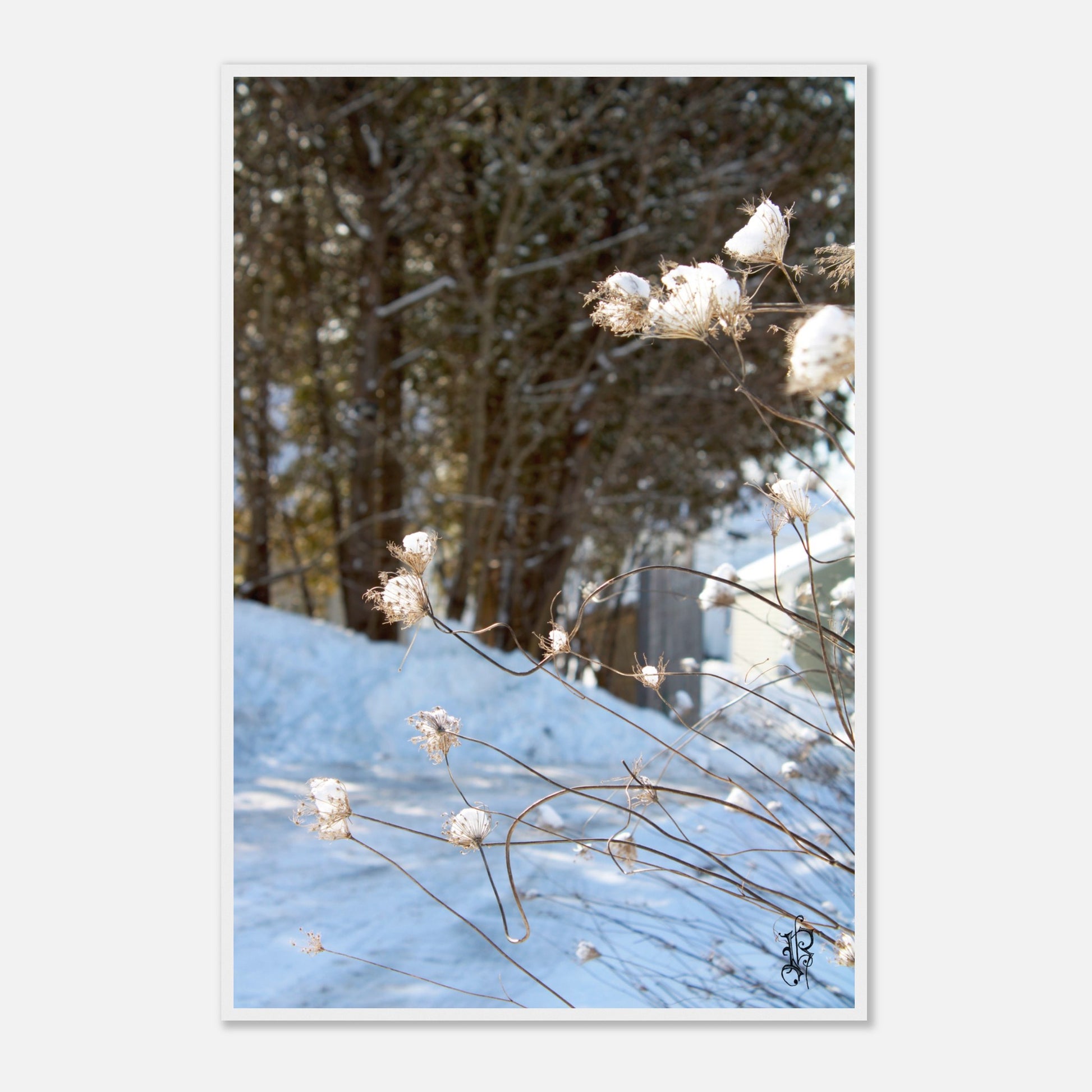 0d84d895-85a1-47b8-bb89-b5f74fbb08d0