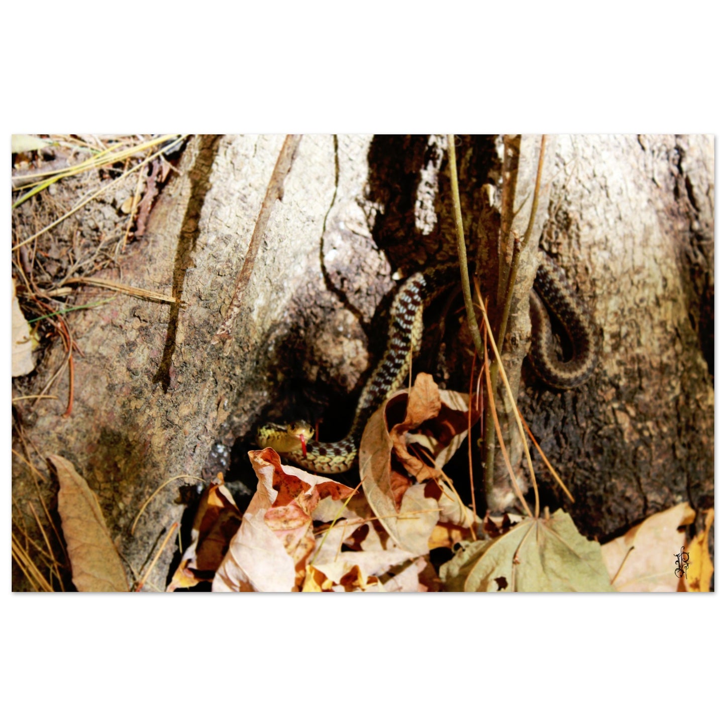 1256b193-f258-4cd1-915c-be9abd00deb4