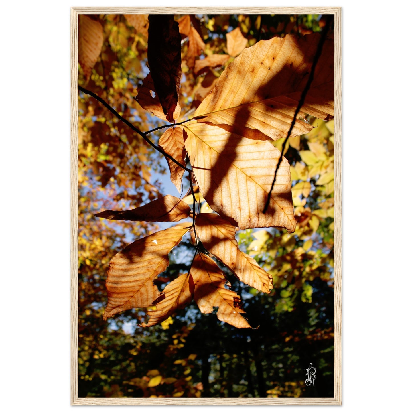 1a3f9b88-8e97-402c-98ca-43c3e3f2291b