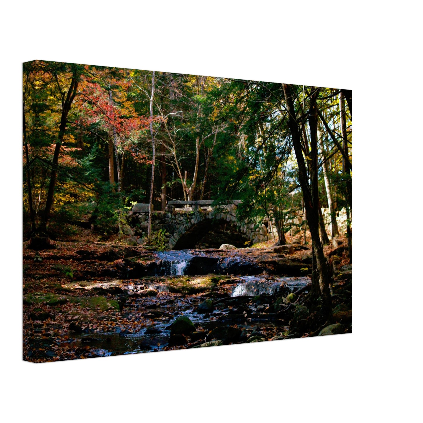 344b4c87-dc6b-4308-beef-da1770e32bd6