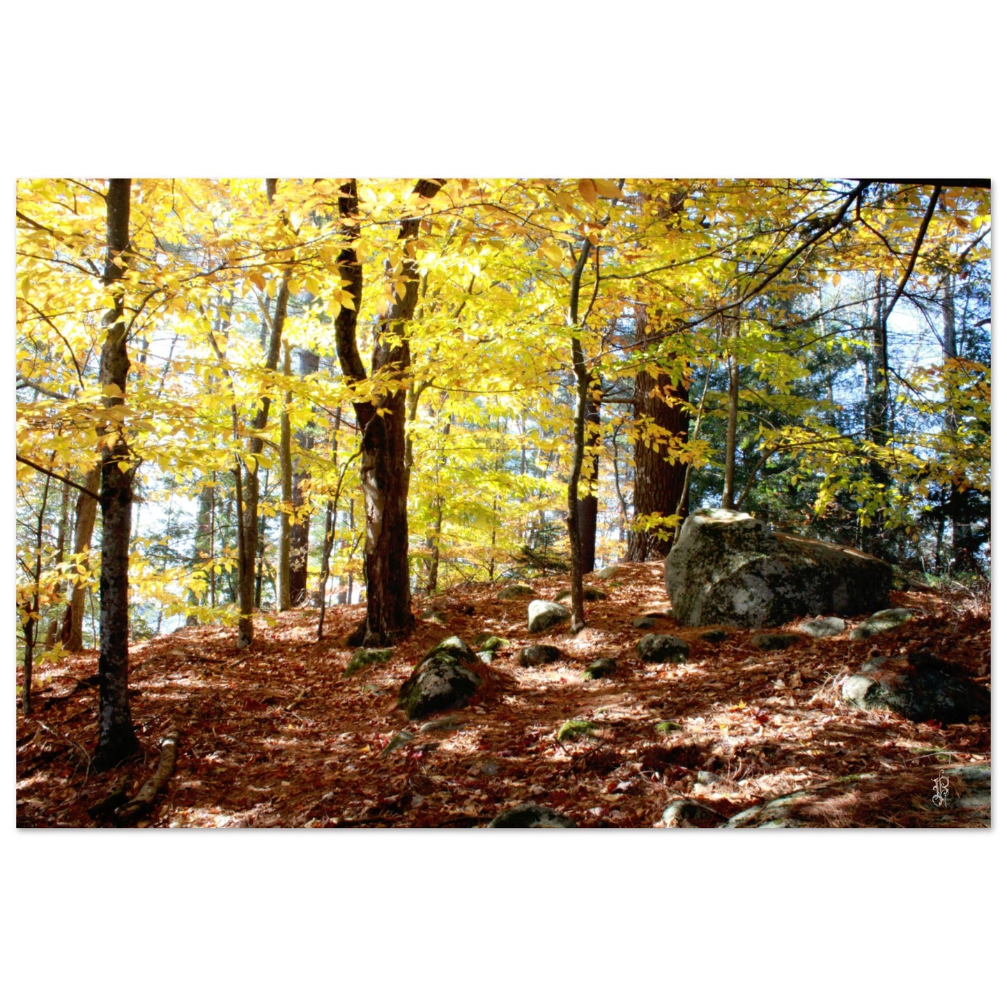 Autumn Afternoon Poster