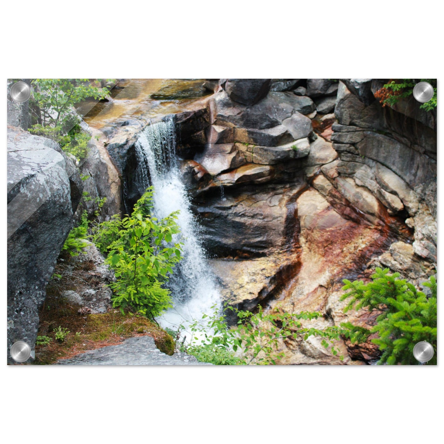 3b2112e2-e418-40e2-ac17-4802f20d5d31