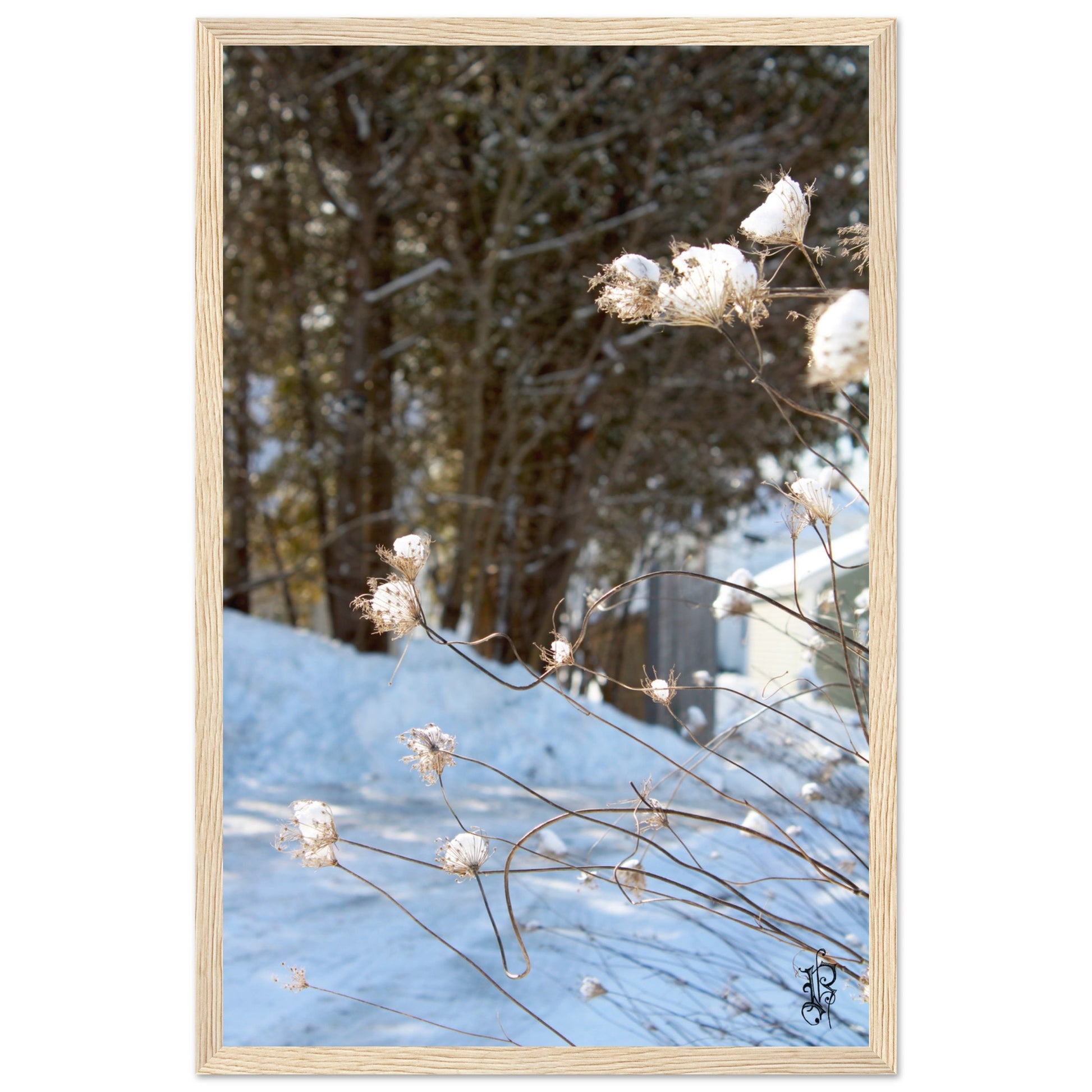 3fc9b510-a6db-47ea-9ec9-56f590133fb0