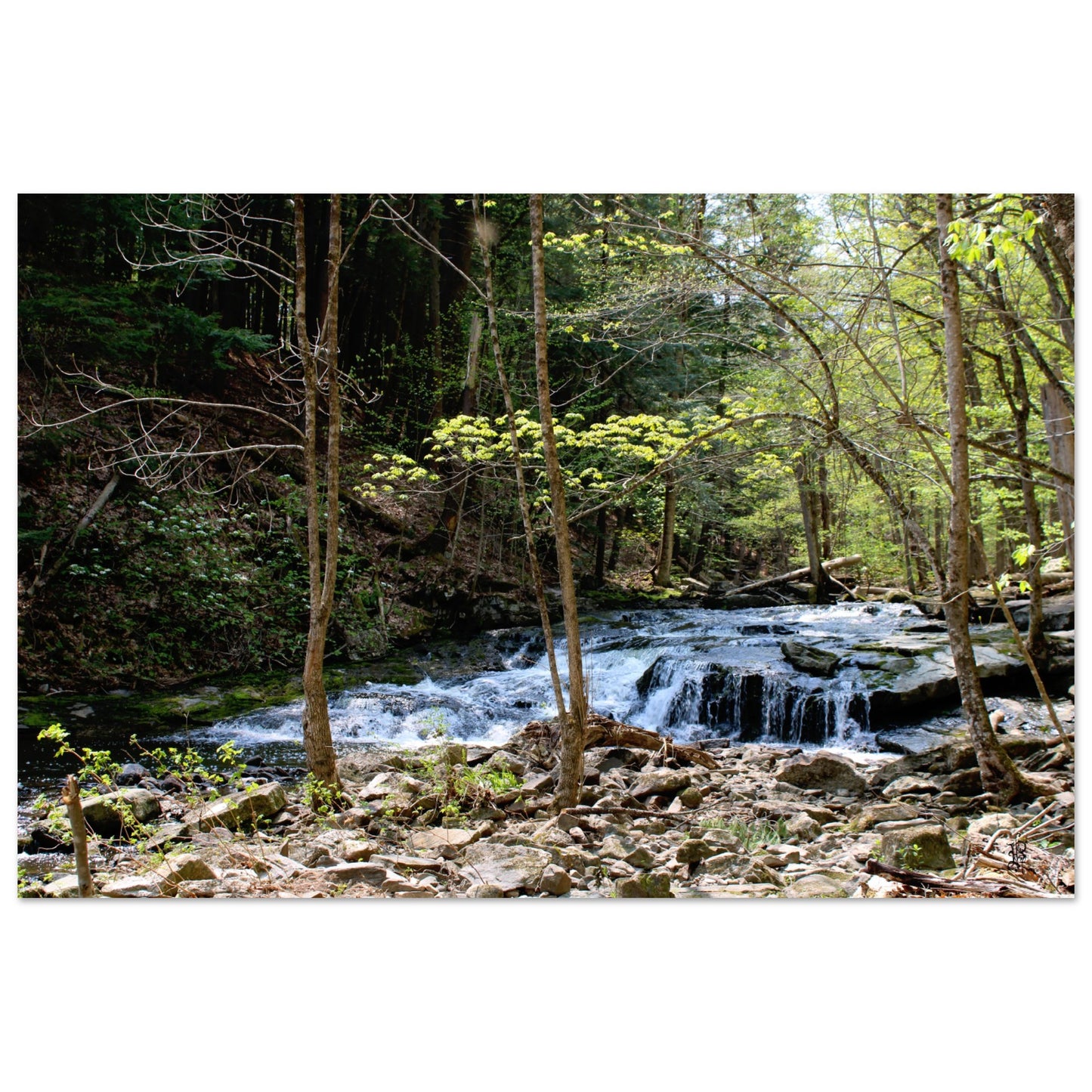 Hidden Falls Poster