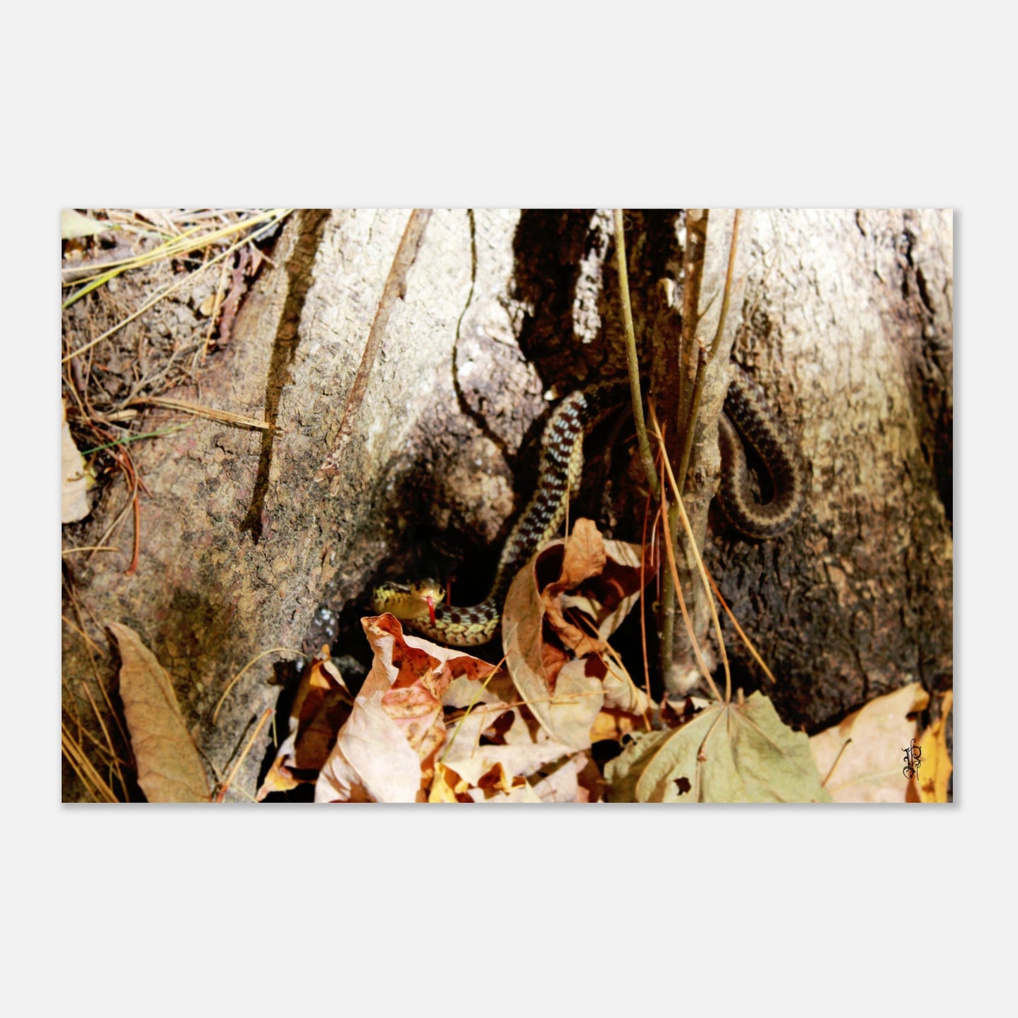 48e31d3f-b9e6-4d49-9c6f-06544d2bc103