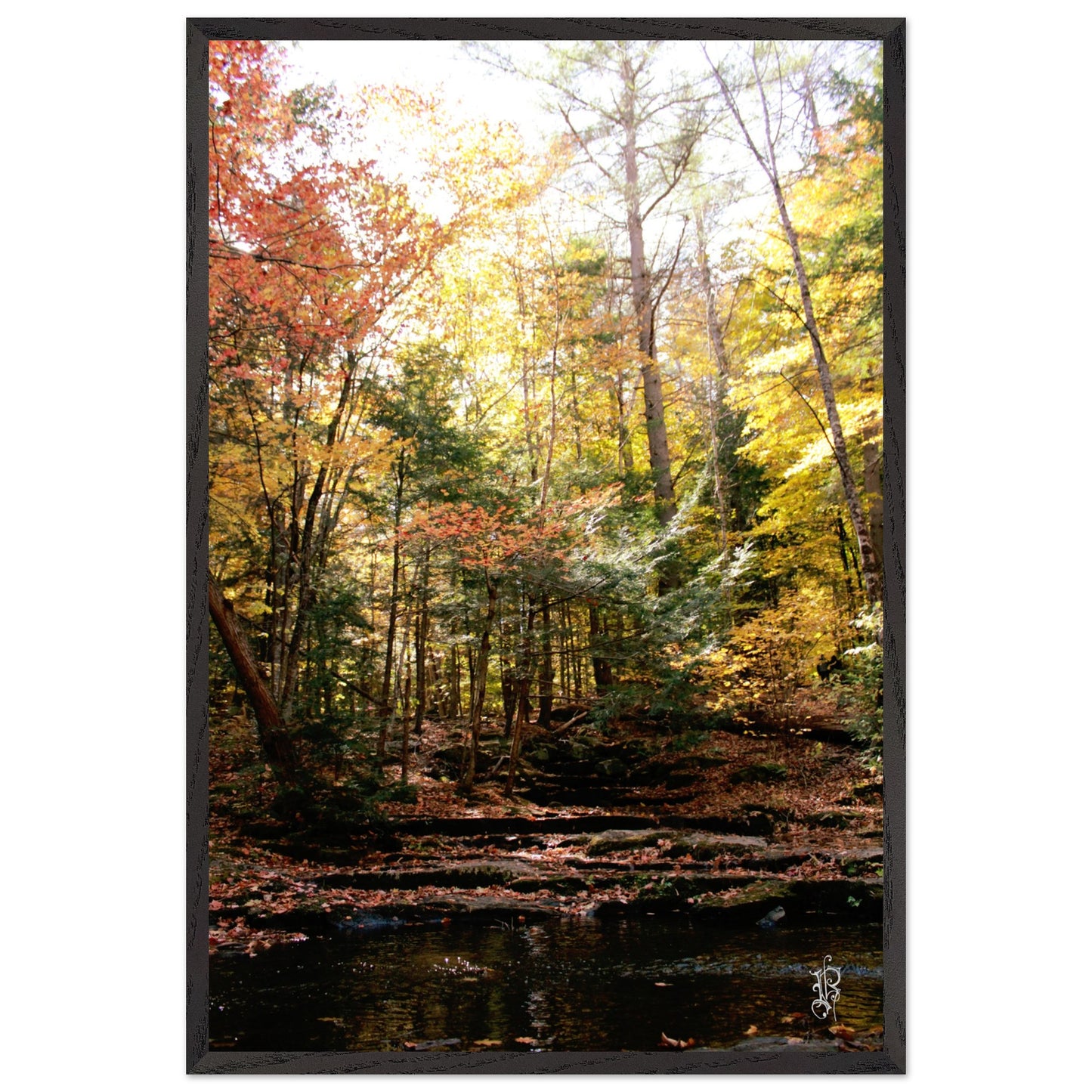 4a10696d-d14b-4687-a9f0-e453ff09c20f