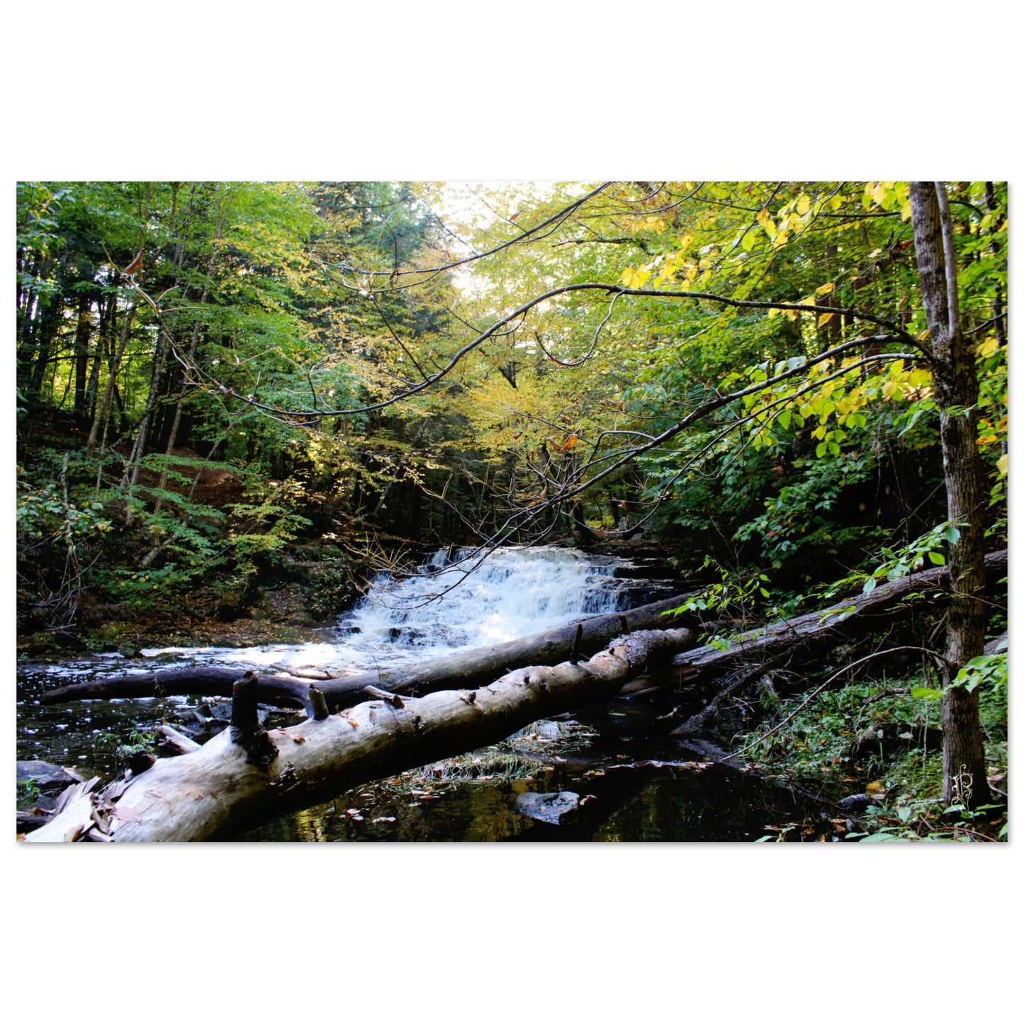 4e503c11-89ad-4b2f-b6e4-7280854f1aa9