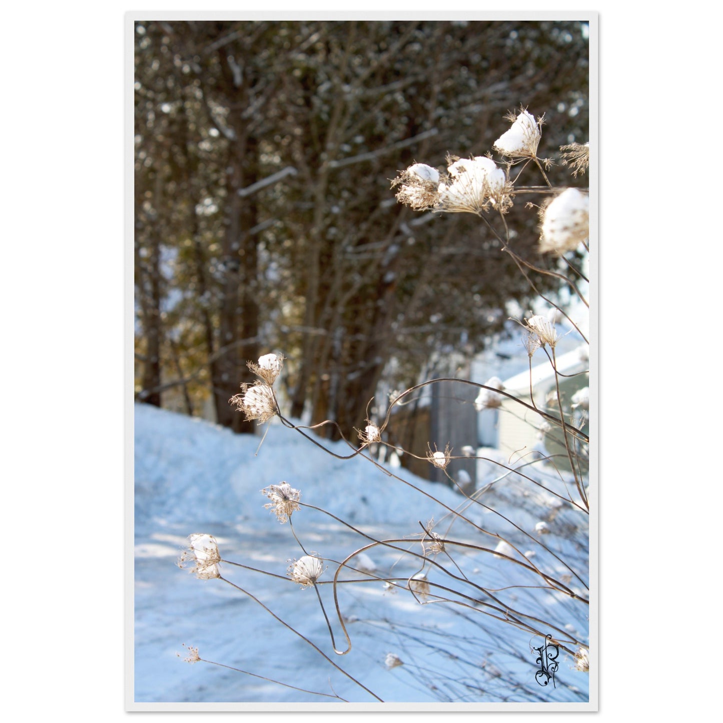 515bfa9c-9d7a-4182-bcbd-1b6de56e4f76