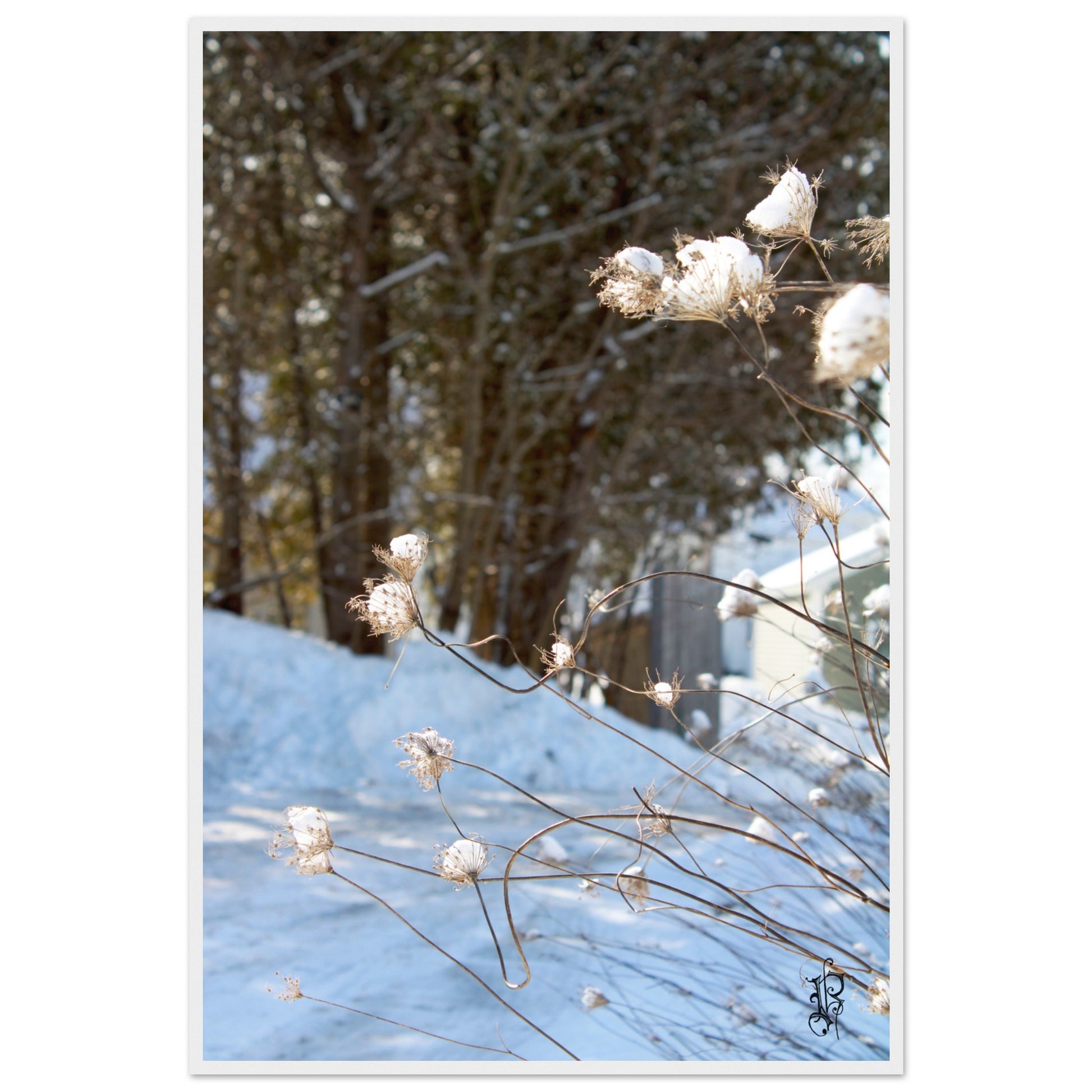 515bfa9c-9d7a-4182-bcbd-1b6de56e4f76