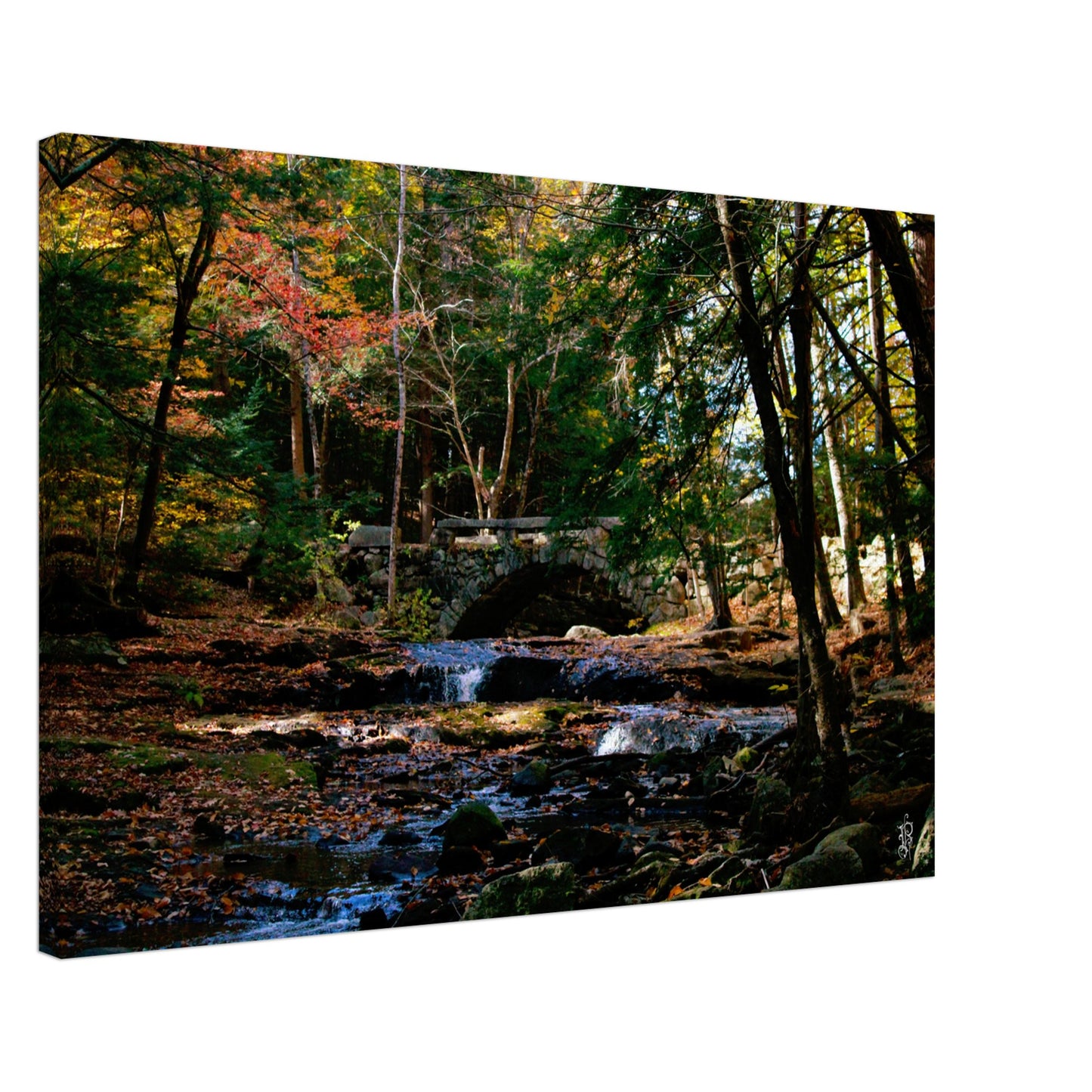 52df0953-b242-4fb2-9866-19f9b08a7aae