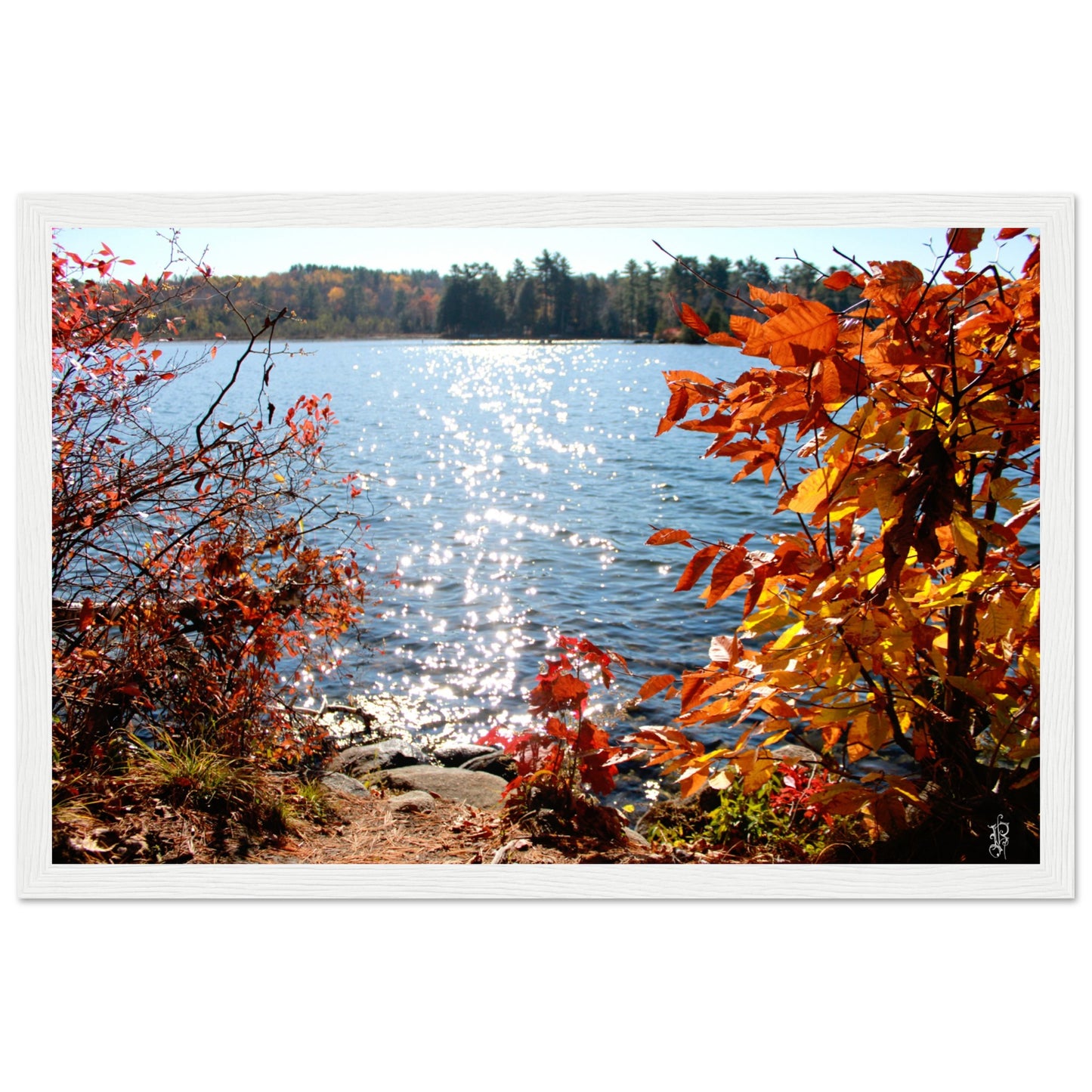 Autumn Sparkling Lake Poster with Wooden Frame