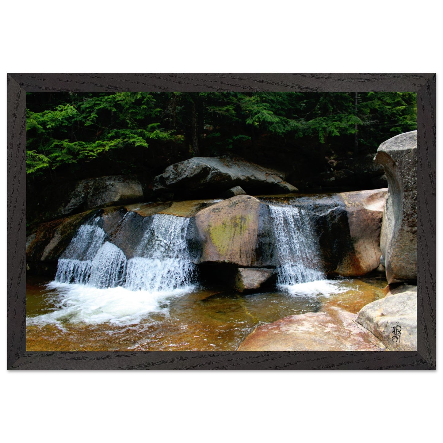 60ca3a1f-2b06-47c5-b013-341e5dfa4cd8