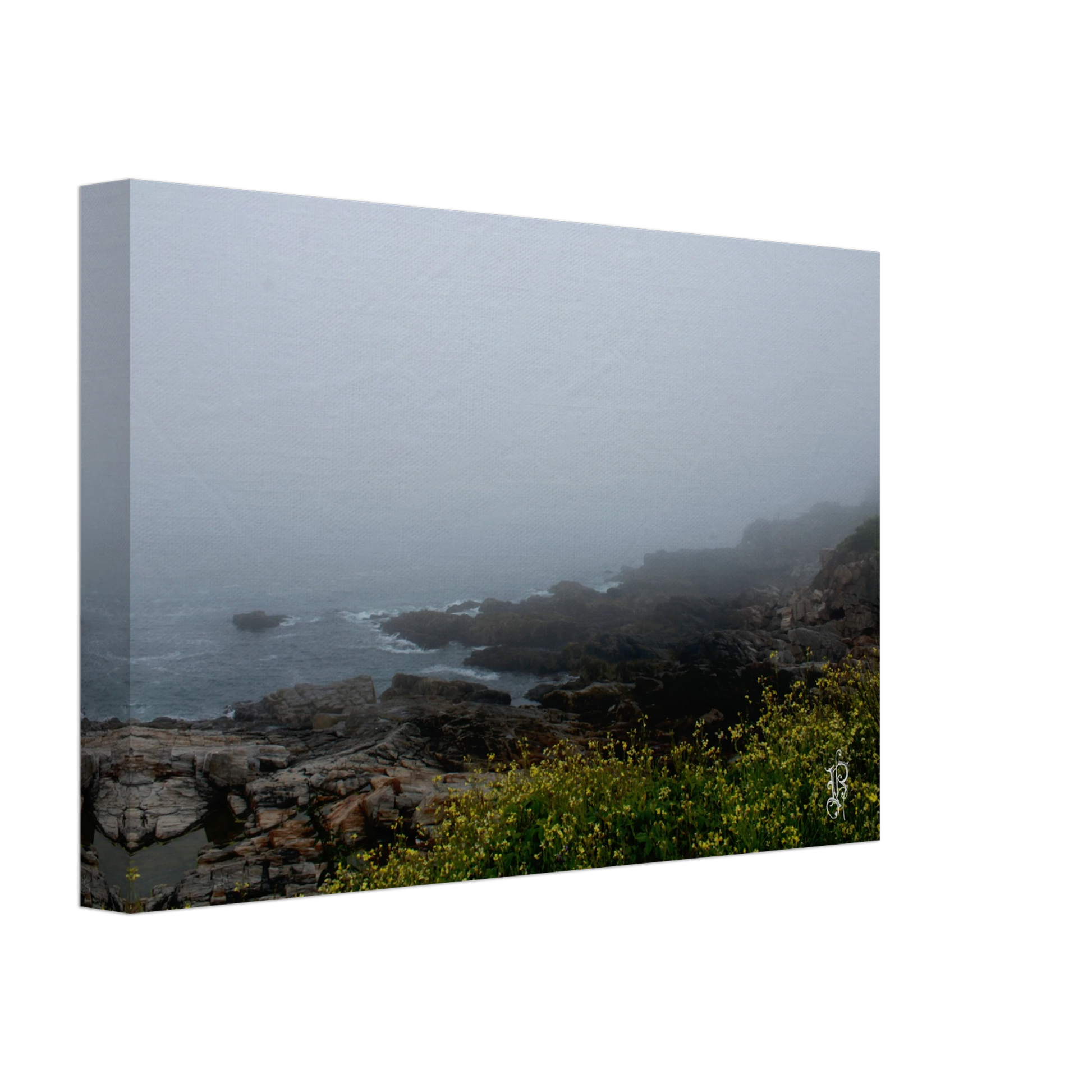 653773ef-15ac-494d-934e-78c5286cd555