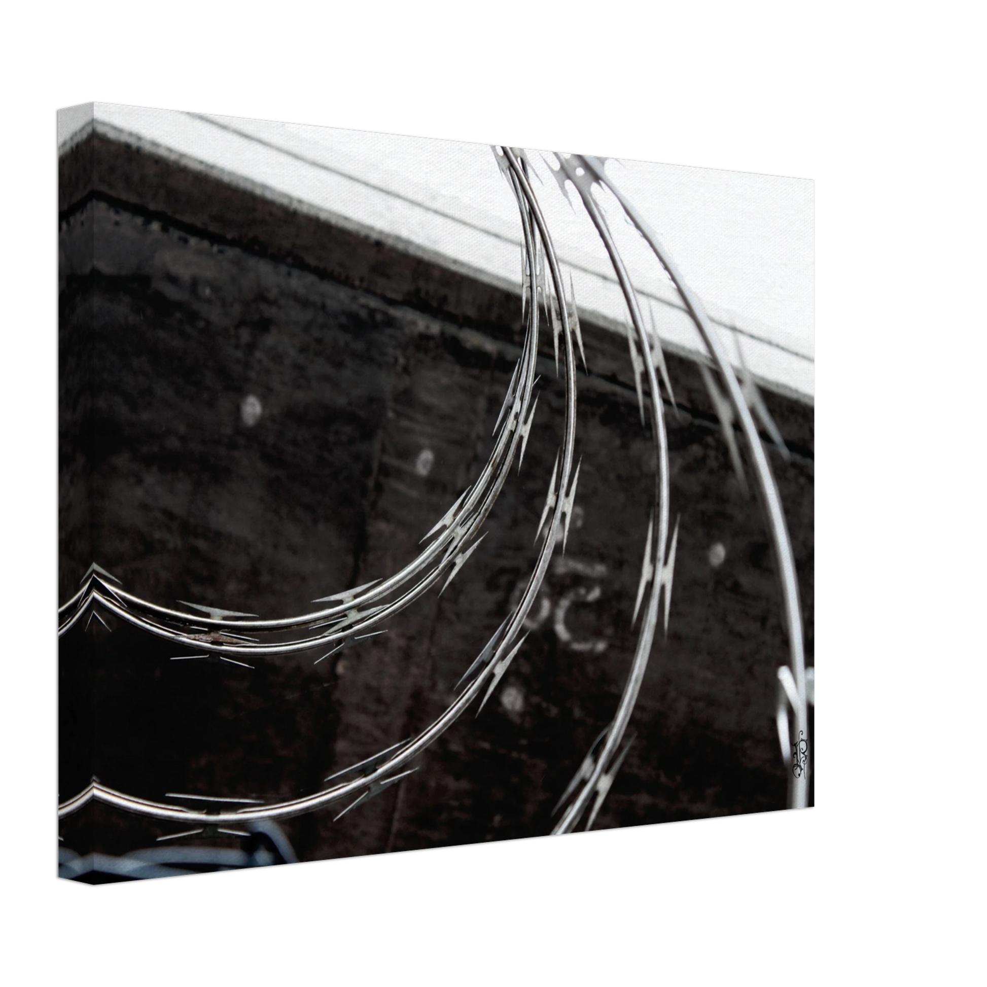 6538302d-bc9a-4539-8f63-ffb46b5fd637