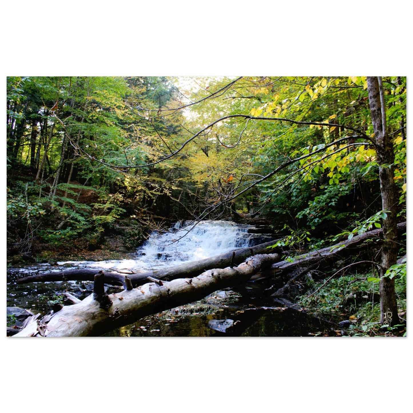 6ac87067-b629-4b53-b34c-a786b34e1b4b