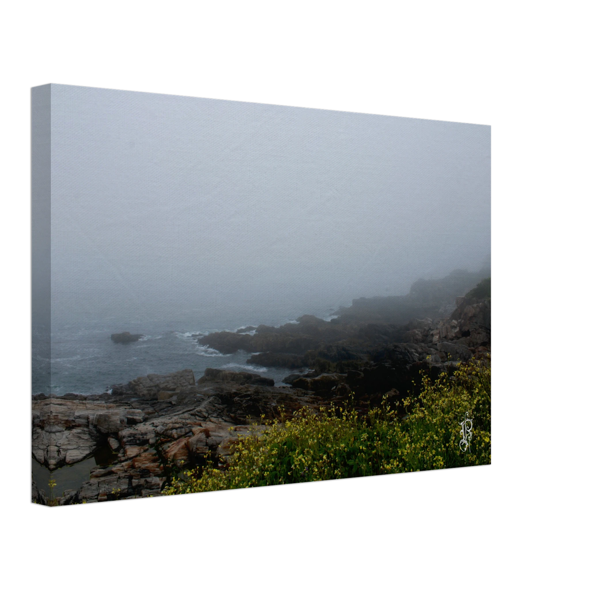 6bcd79f6-f98a-4f16-955d-383e6815d11d