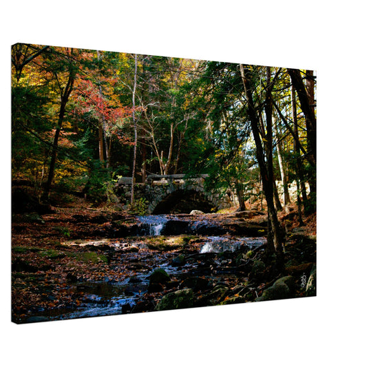 6f263100-744c-4a50-bfc3-93c782c1744d