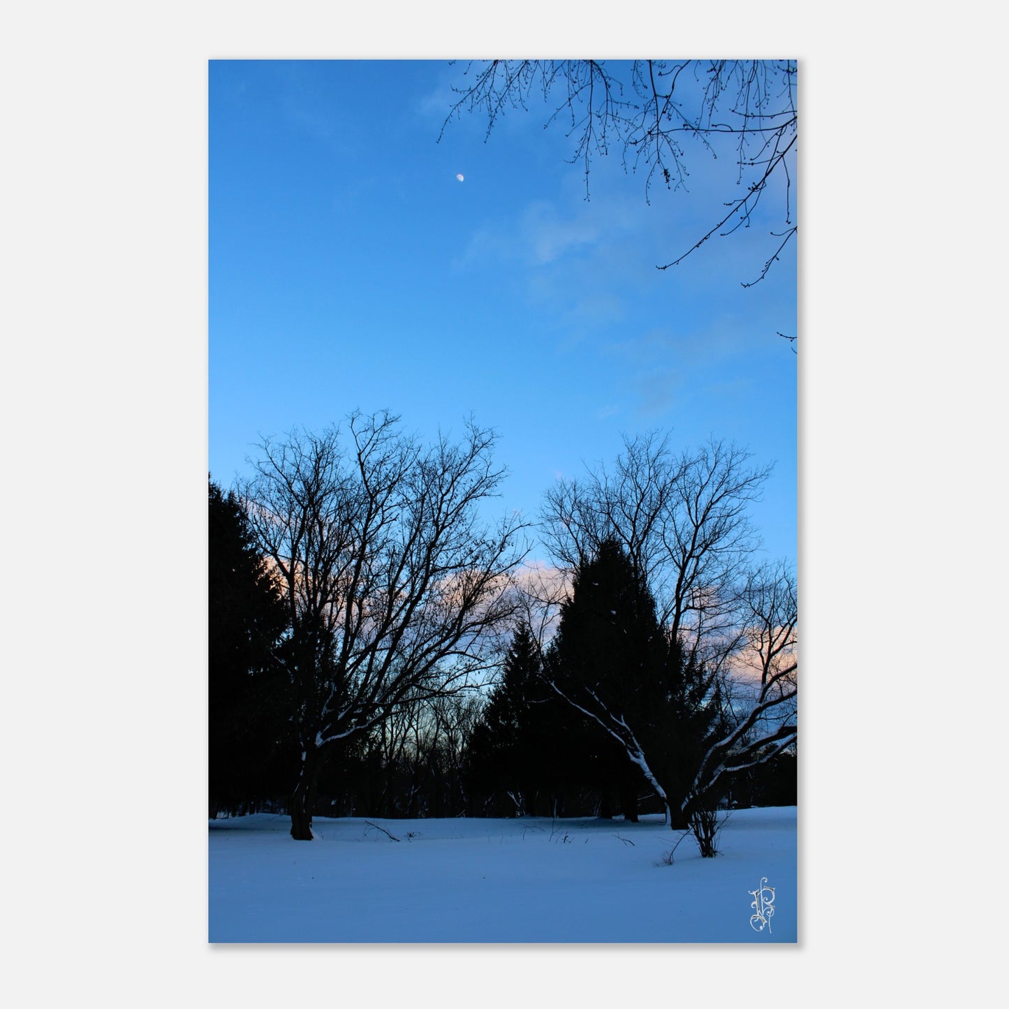 7b155586-65ee-4ee0-ba39-feaeea454149