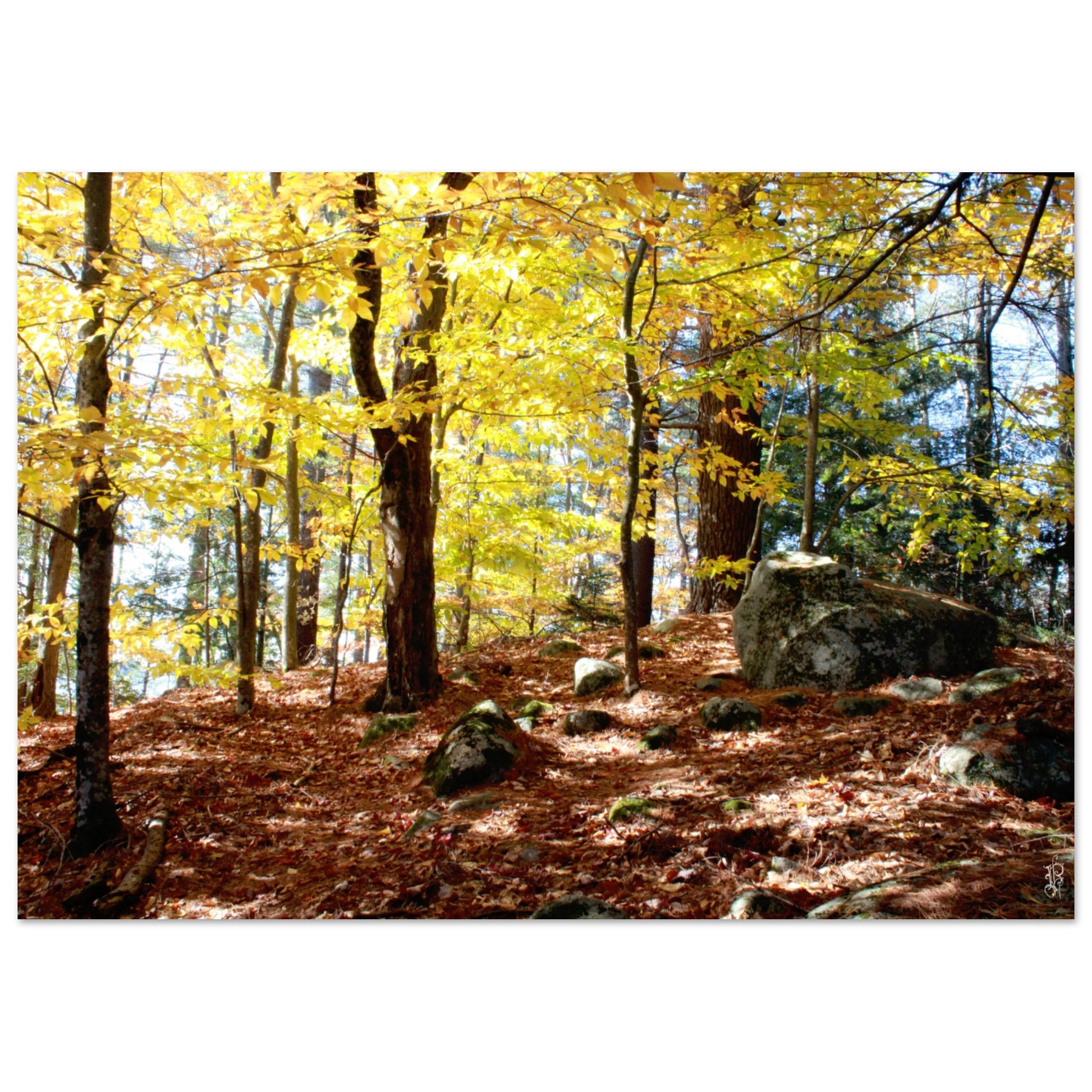 873b1274-1445-4038-820a-98157323bc6a