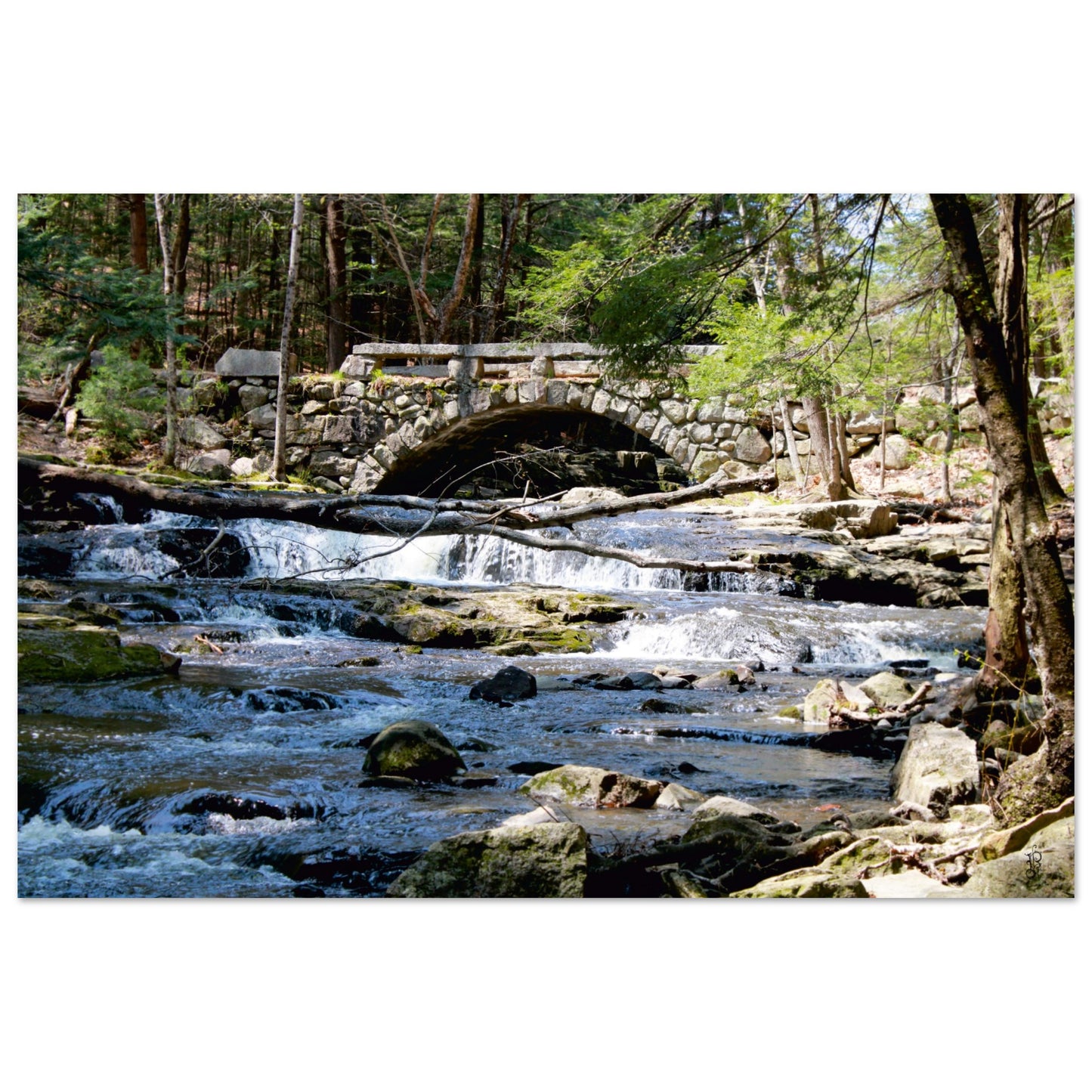 Stone bridge and Waterfall