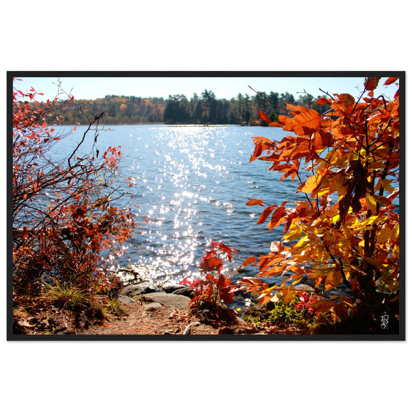 Autumn Sparkling Lake Poster with Wooden Frame