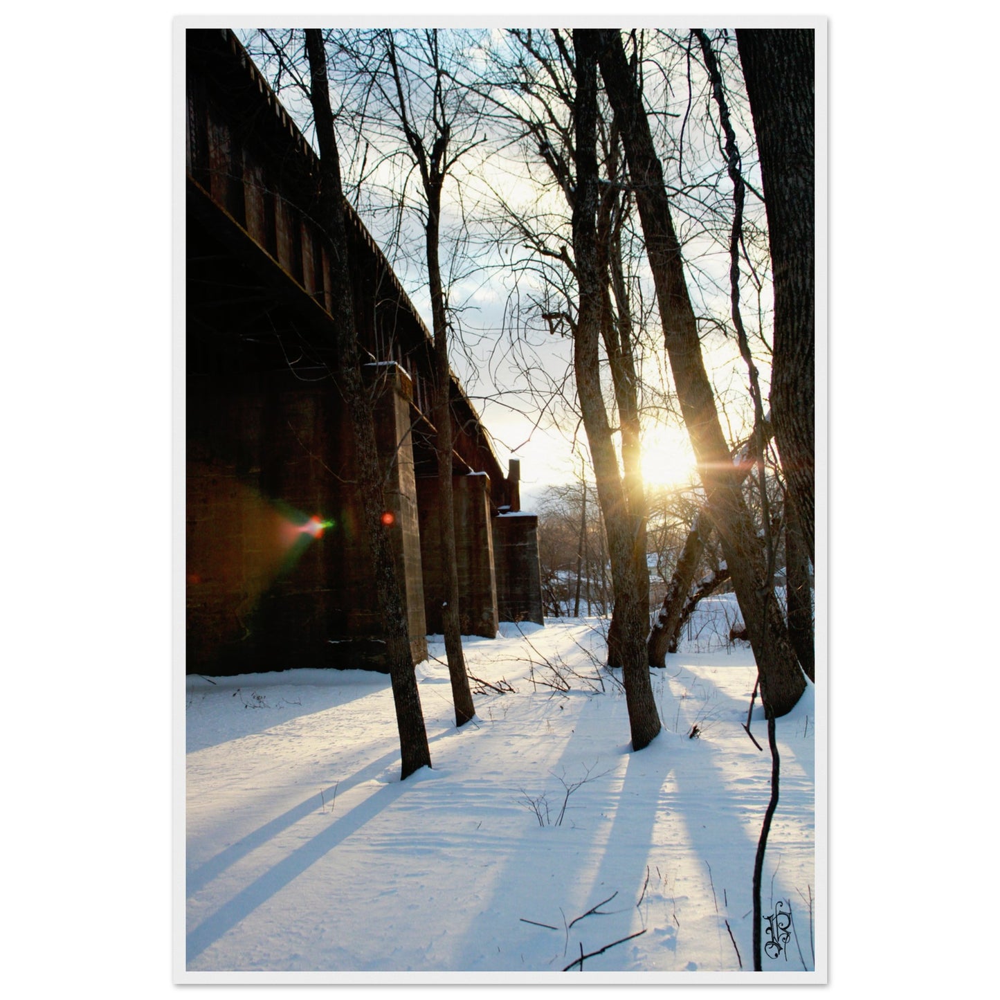 977eb43e-bd13-4530-bc4a-aeccf15f5501