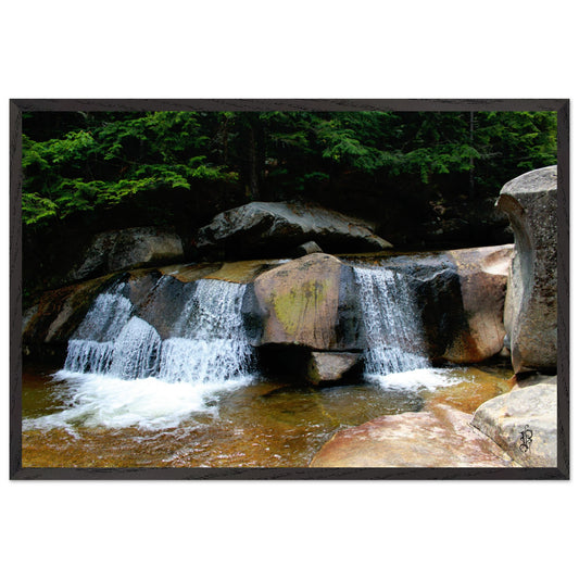 9d1c26e5-f94a-4988-aa16-45b9eec2d909