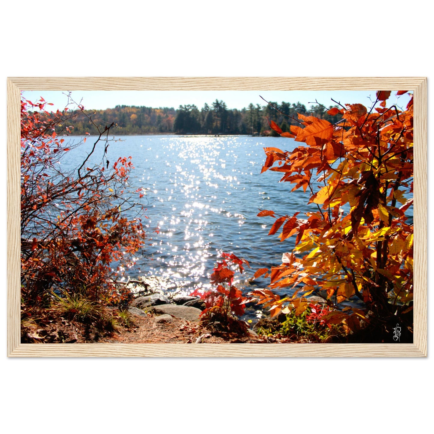 Autumn Sparkling Lake Poster with Wooden Frame