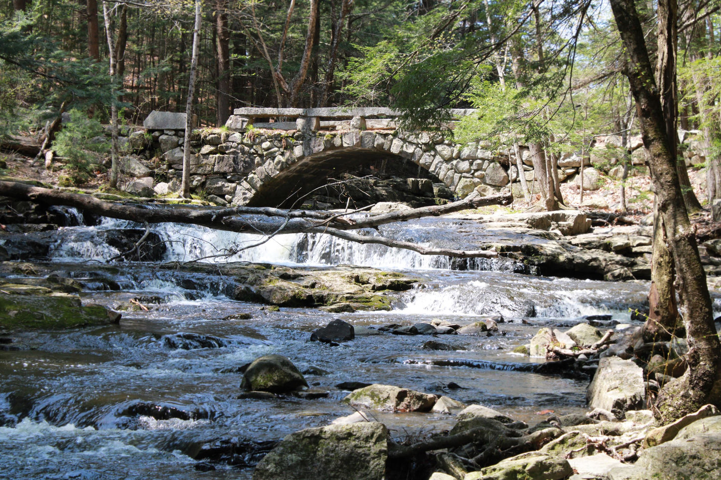 Stone bridge and Waterfall