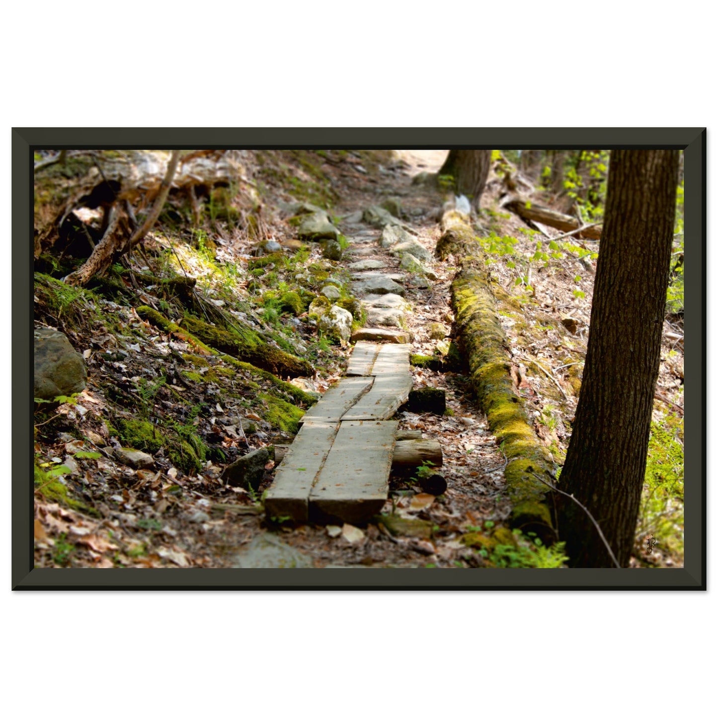 The Lonely Path Poster Gloss with Metal Frame