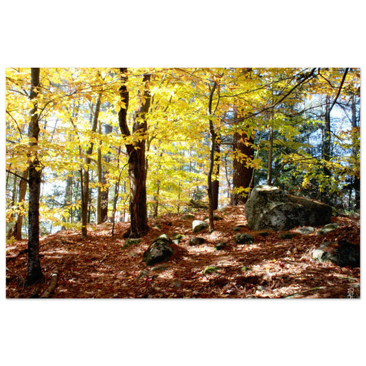 a2c3ca10-62ed-493c-98bc-a22d845ef3c3