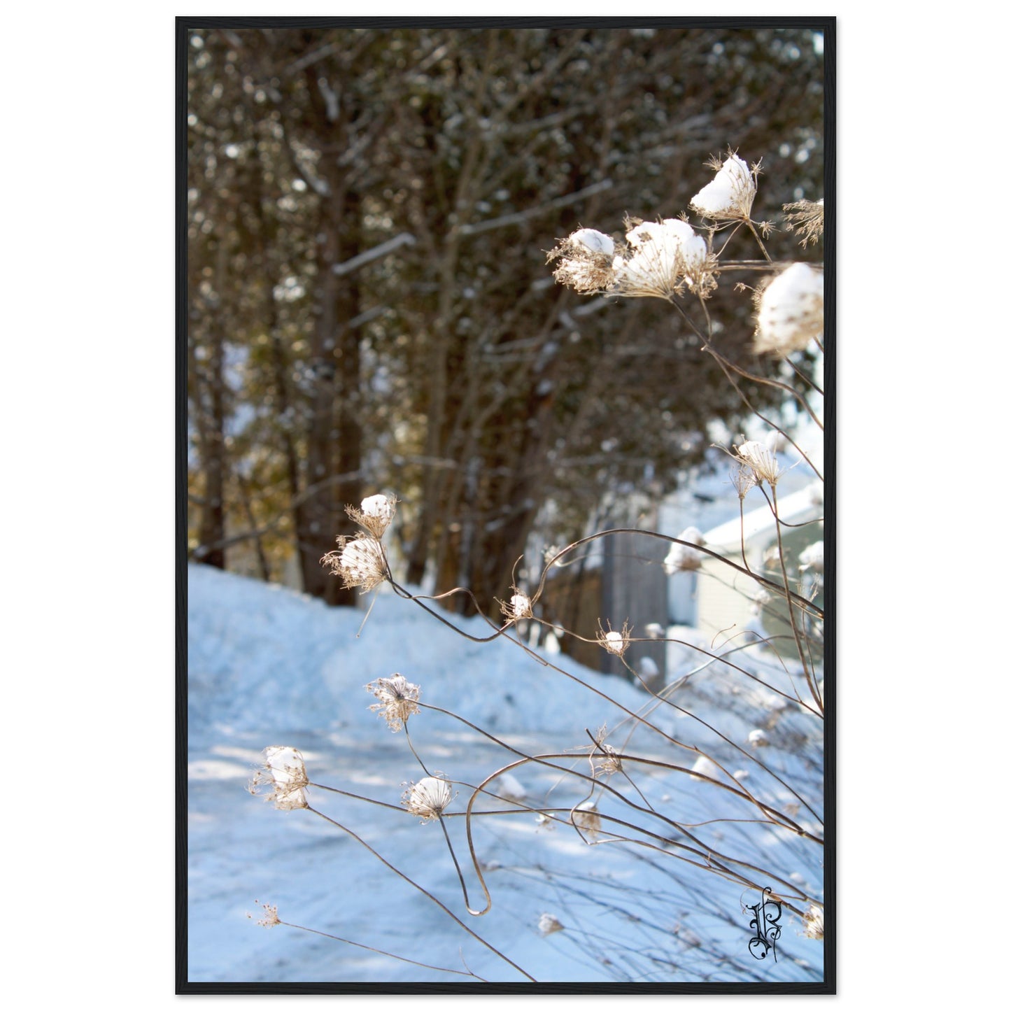 a8c34acd-dc3b-4db9-85fa-c7b9a9a07793