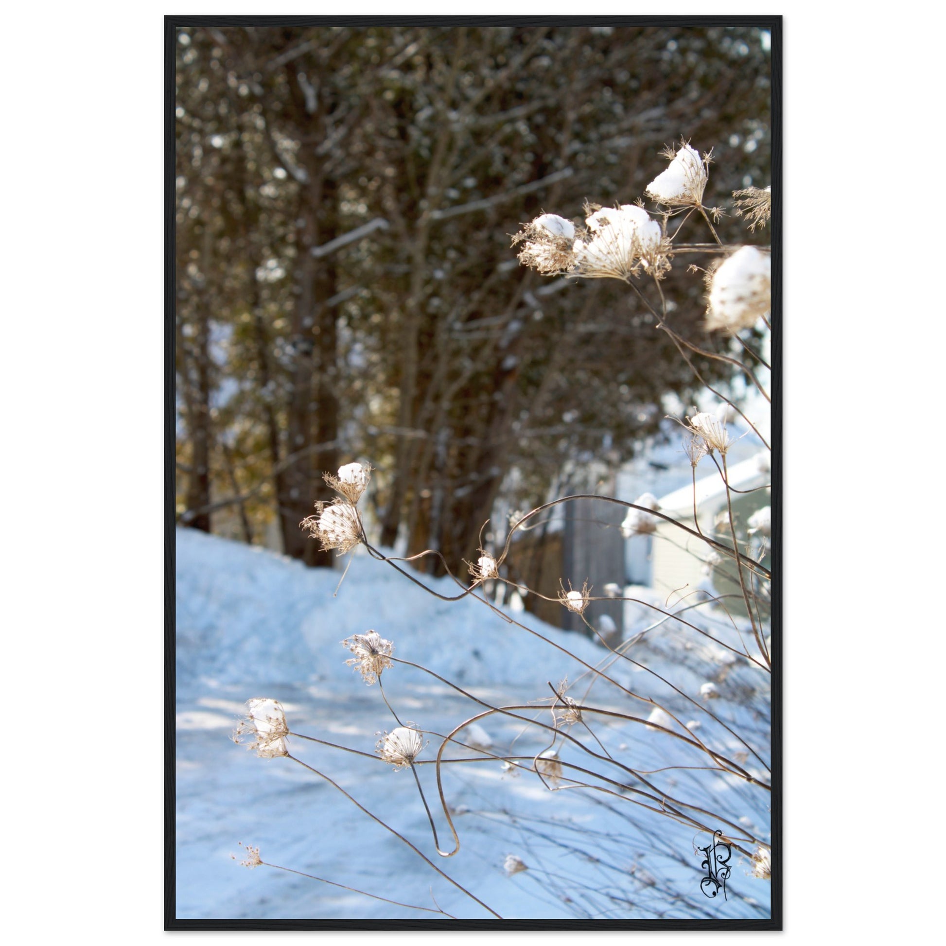 a8c34acd-dc3b-4db9-85fa-c7b9a9a07793