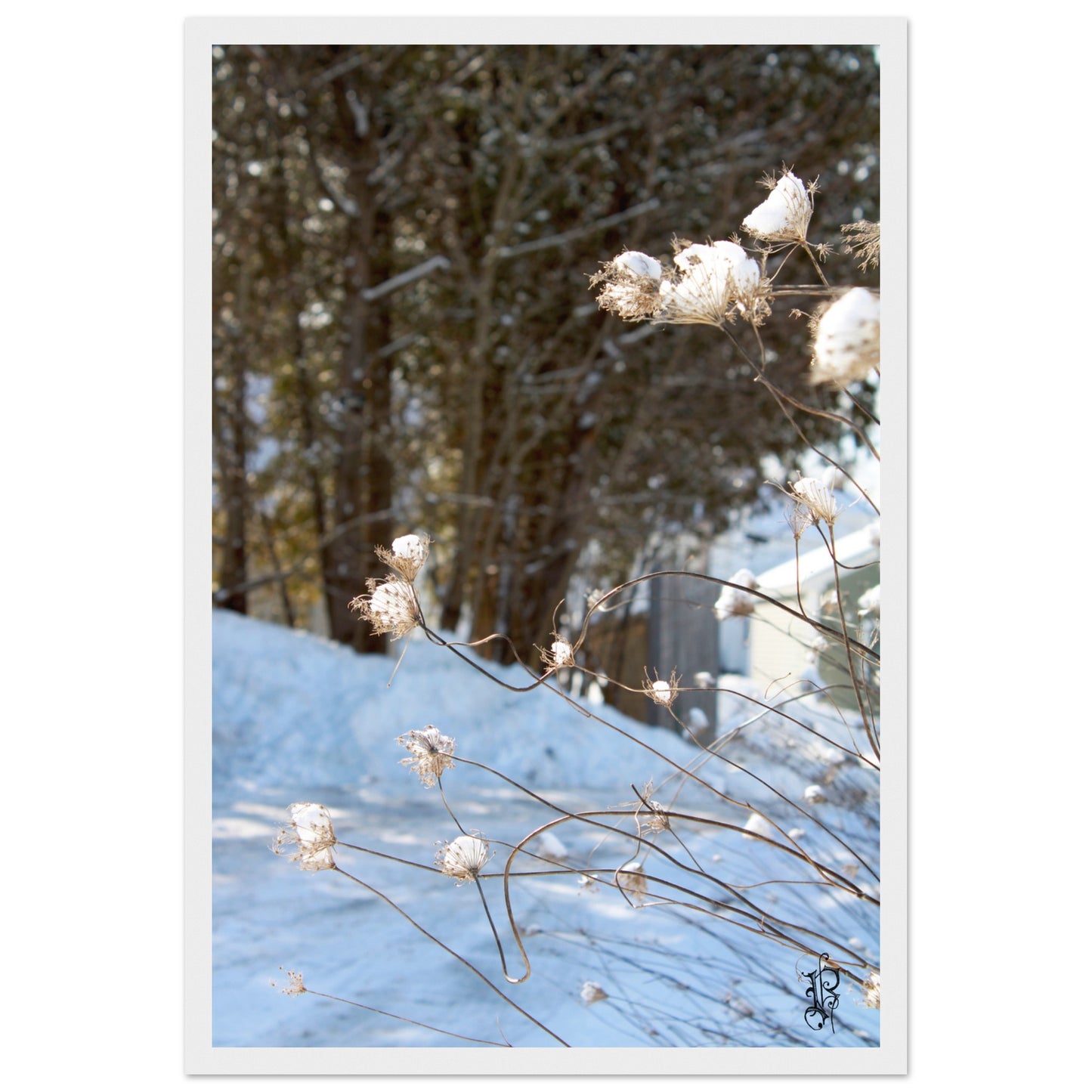 aacade51-de49-4ec1-863e-6027f2e7ba7b