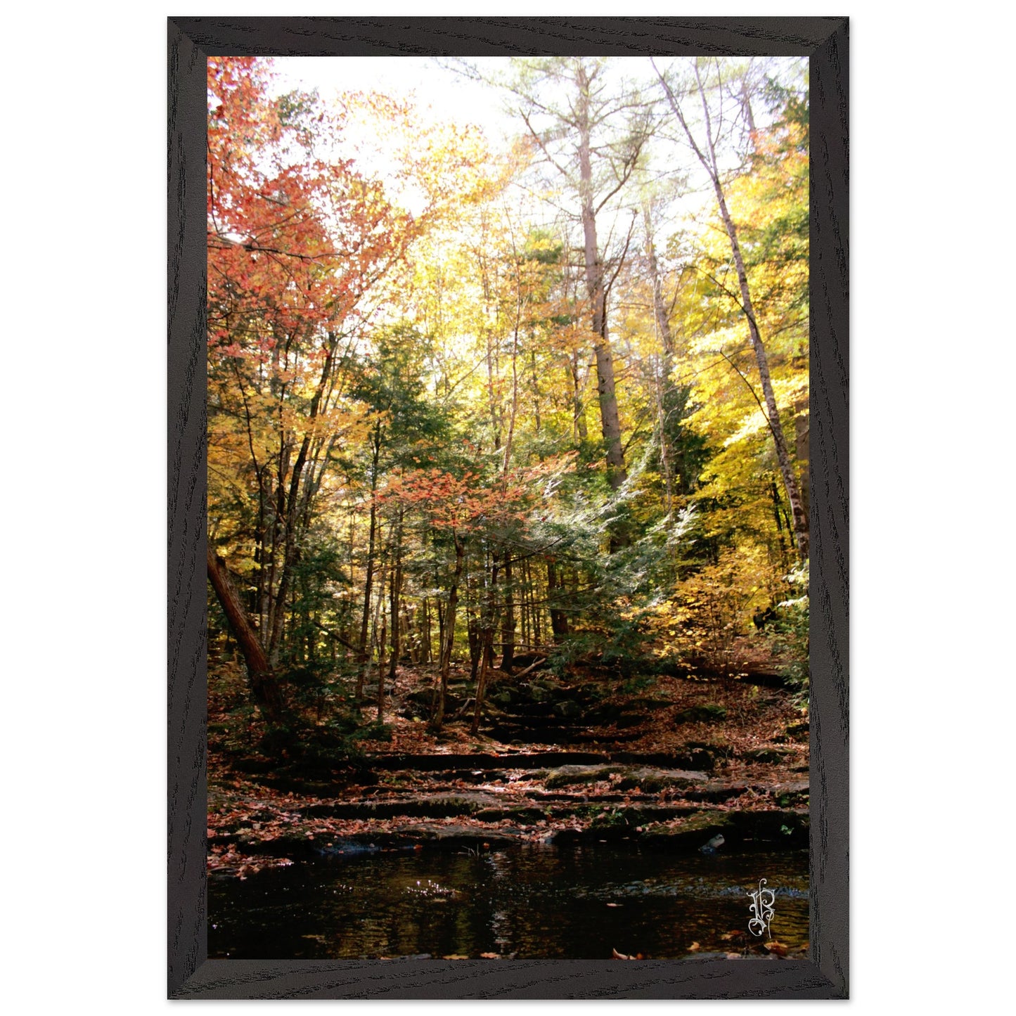 b385e90c-1c75-400f-b640-be6d898fa29f