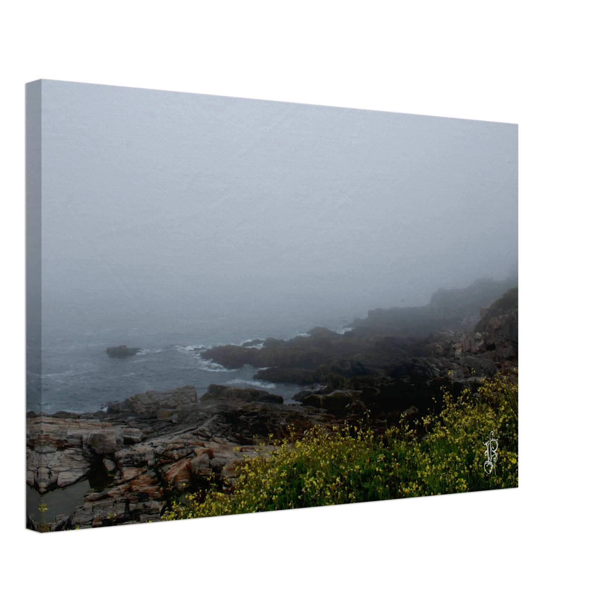 bef41f51-68d3-4a11-a4dd-5c686739bd67