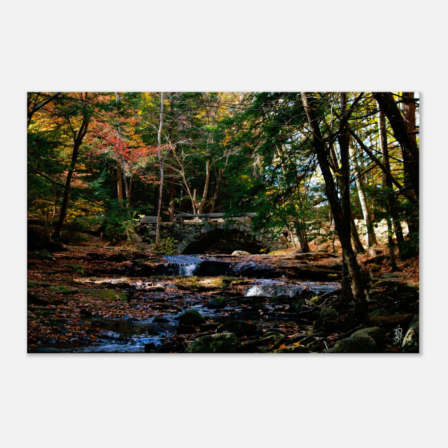 c54acd99-87f2-4e17-8d6f-d4640b82e497