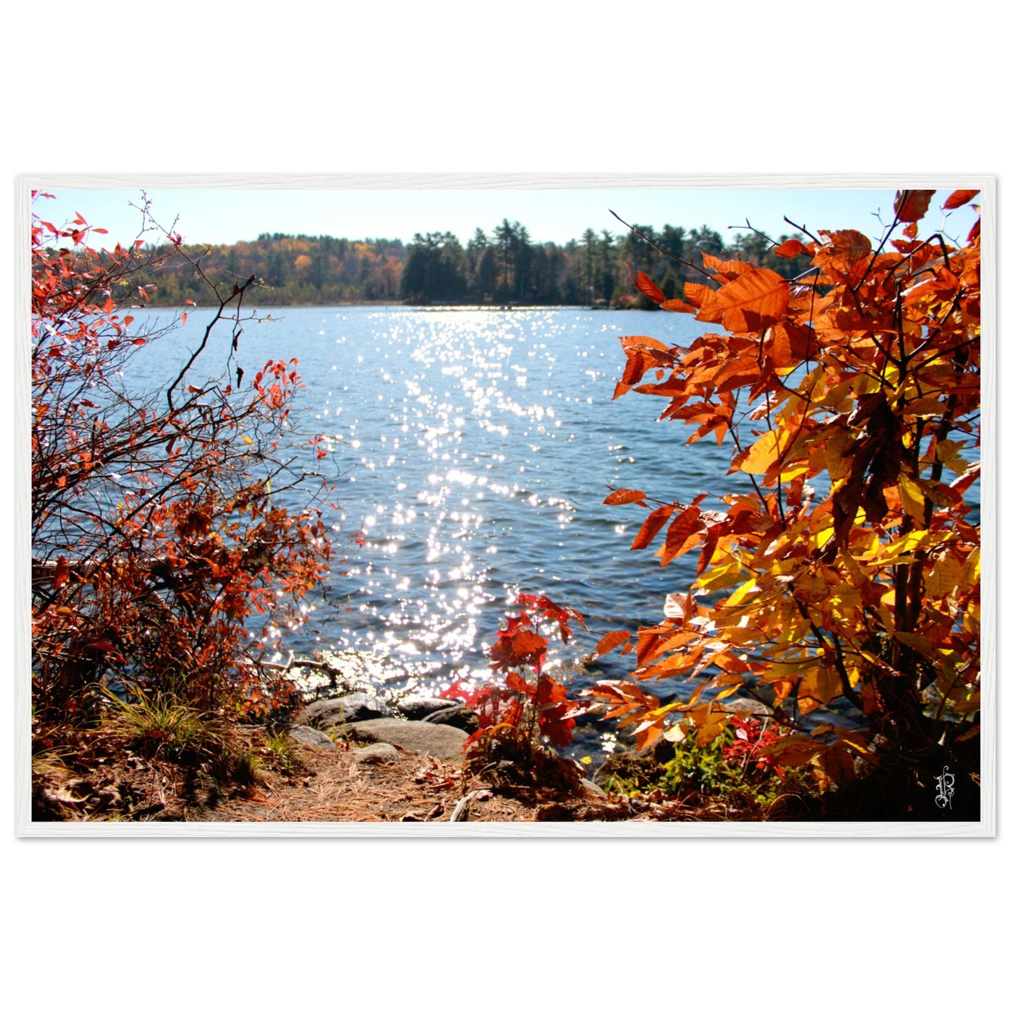 Autumn Sparkling Lake Poster with Wooden Frame