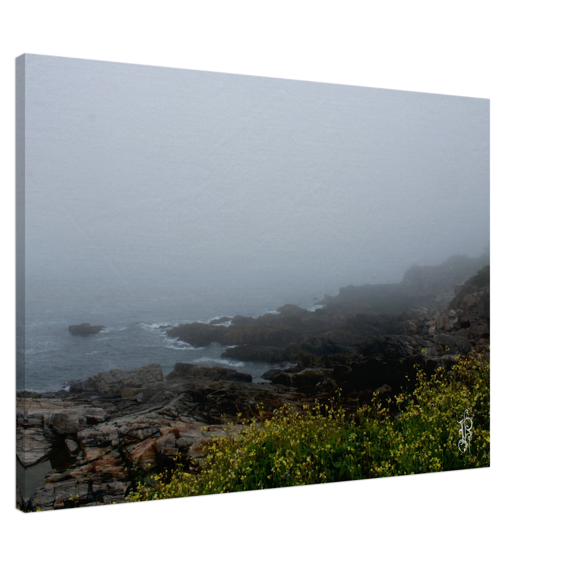 cae002bf-94fb-49fe-bdee-7c603e7d0ea4