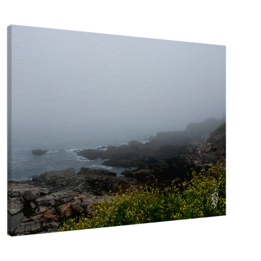 cae002bf-94fb-49fe-bdee-7c603e7d0ea4