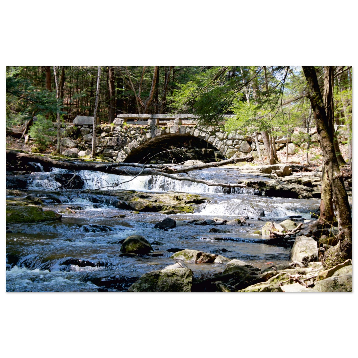 Stone bridge and Waterfall