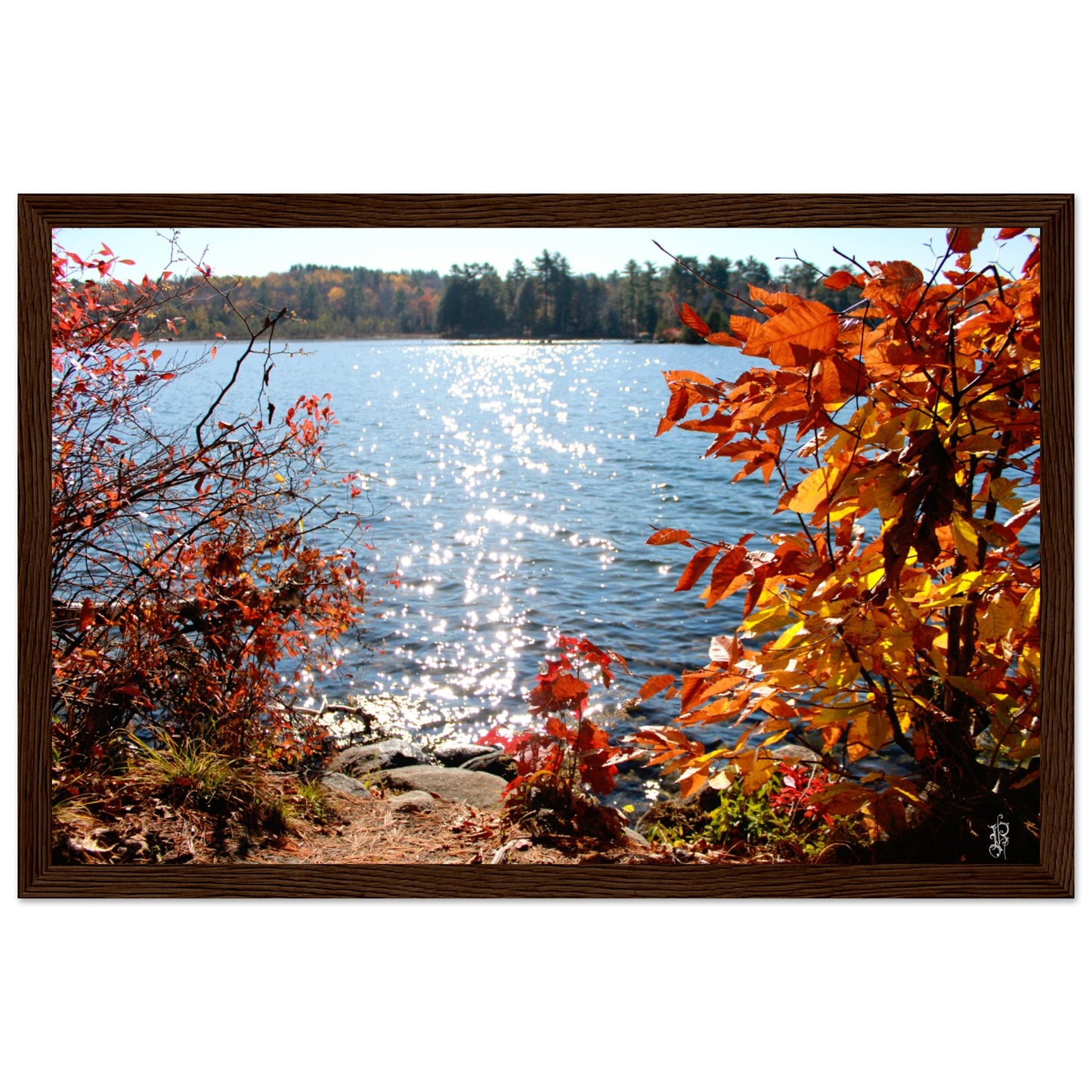 Autumn Sparkling Lake Poster with Wooden Frame