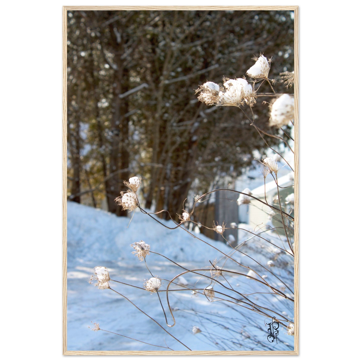 e75f1d67-6898-43c0-bfb7-e04635bea4db