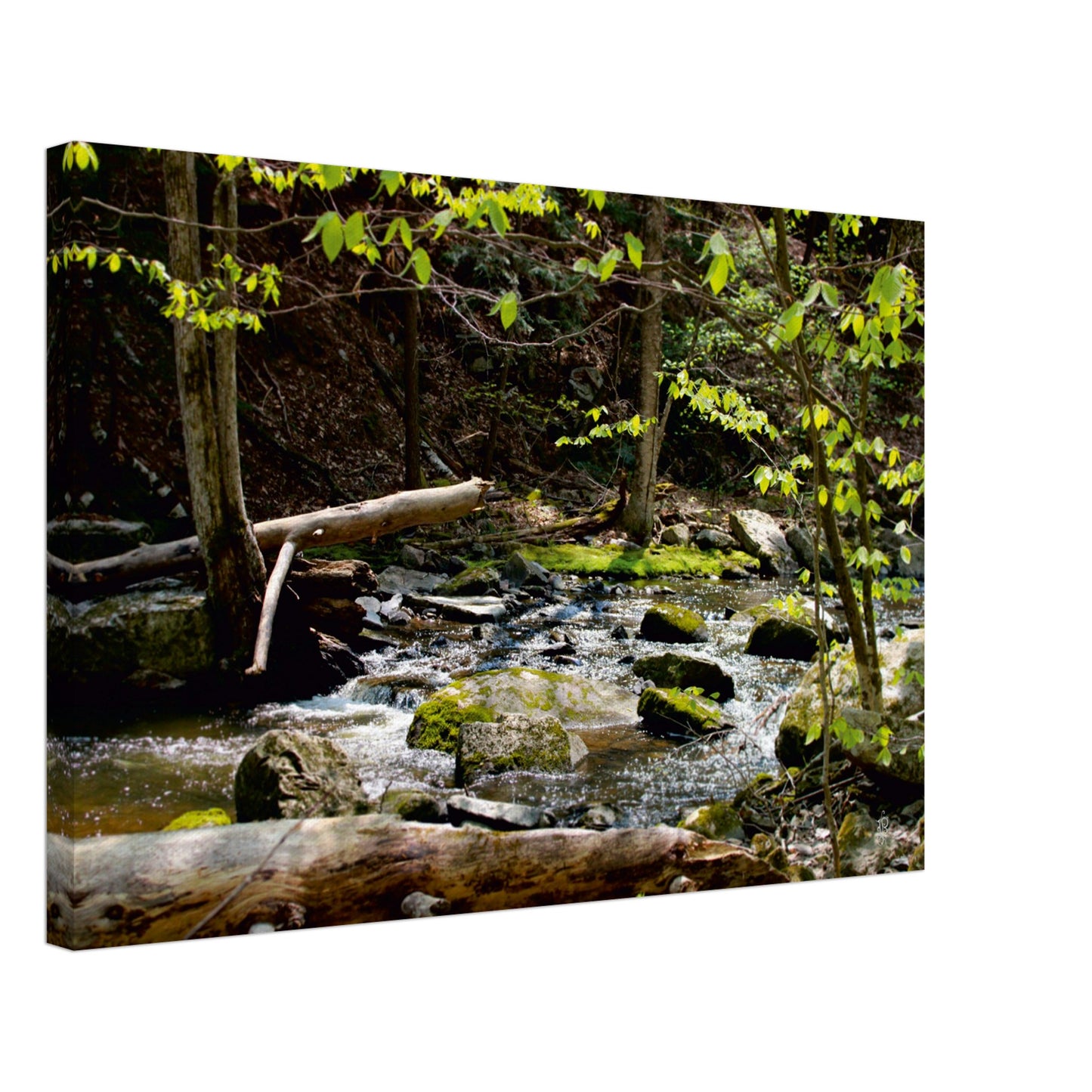 Magical Creek - Canvas