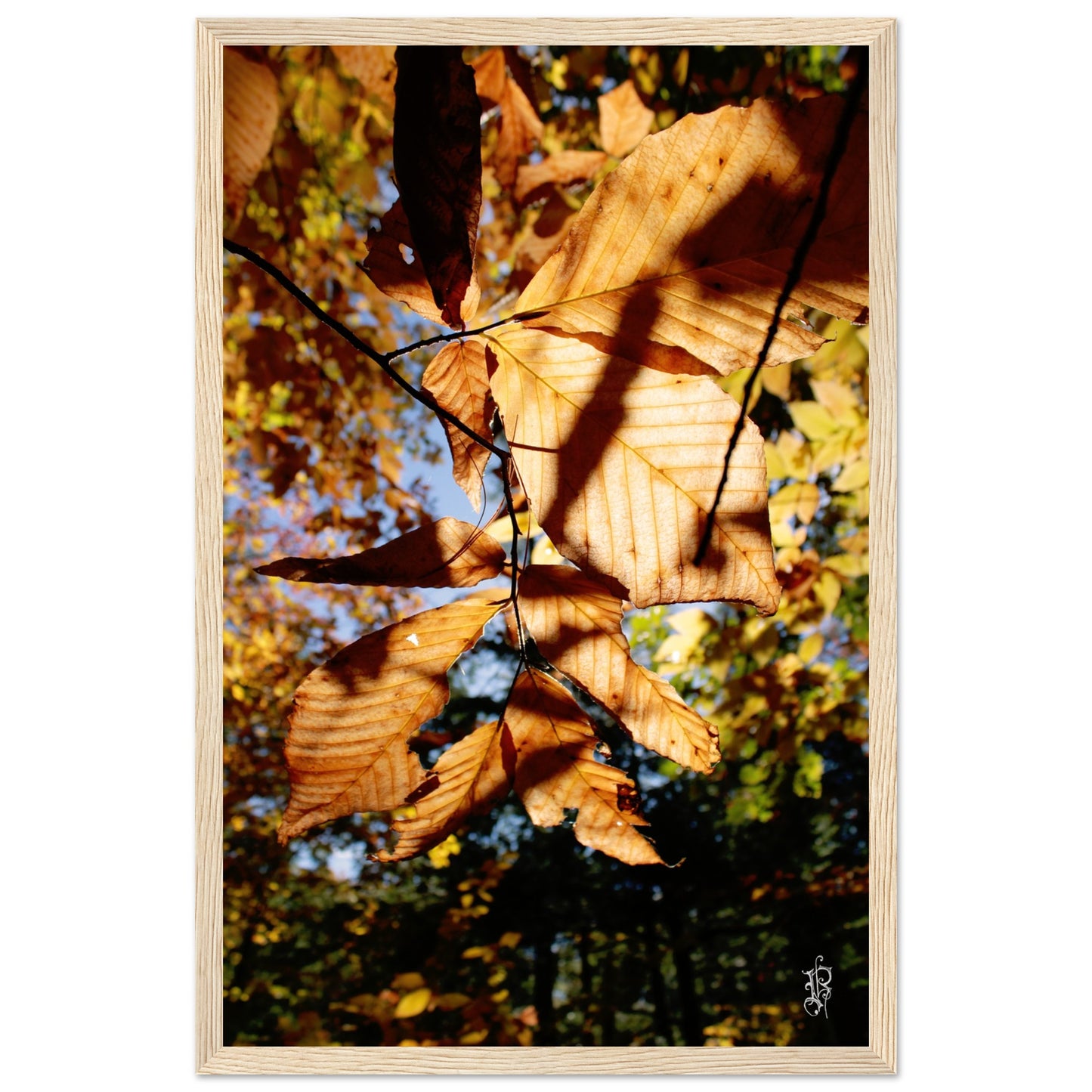 f05605fd-2334-4a2c-a408-593db9bc63a1