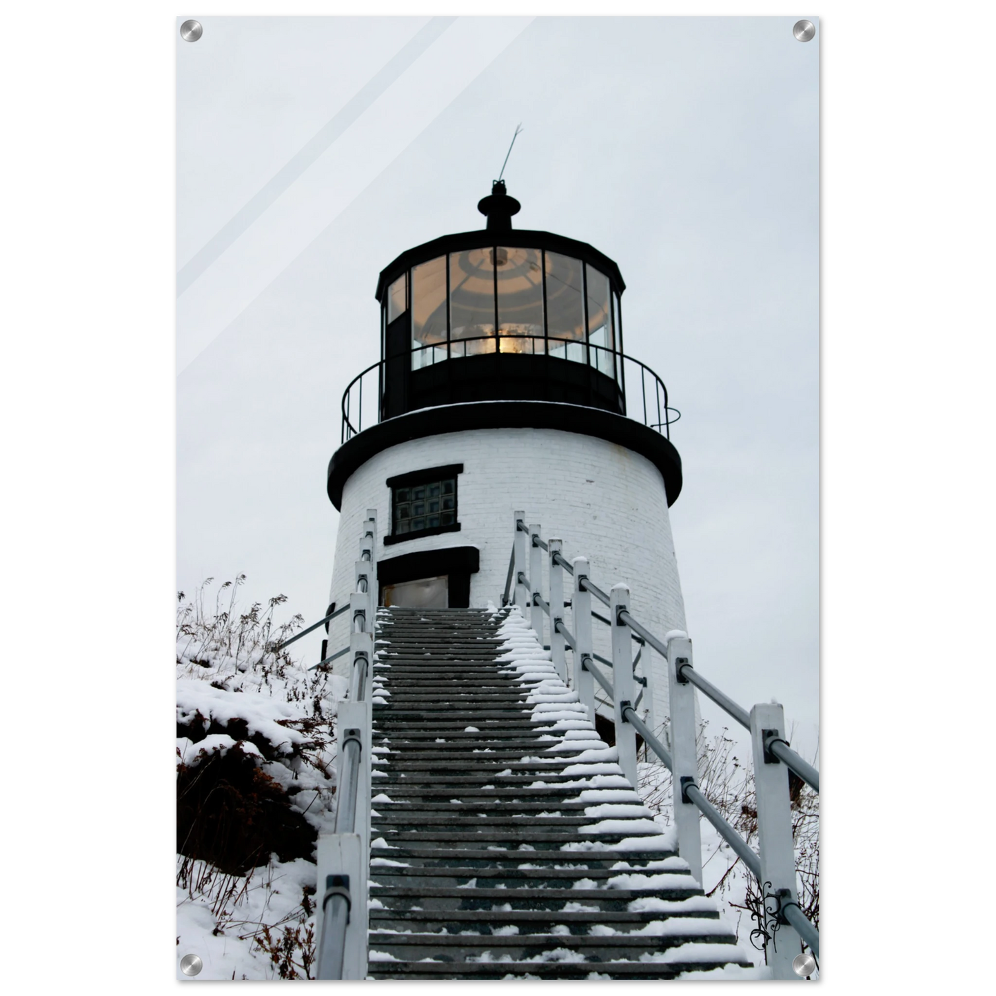 04f19aae-b6c3-438b-bb18-a0e92a6ee014