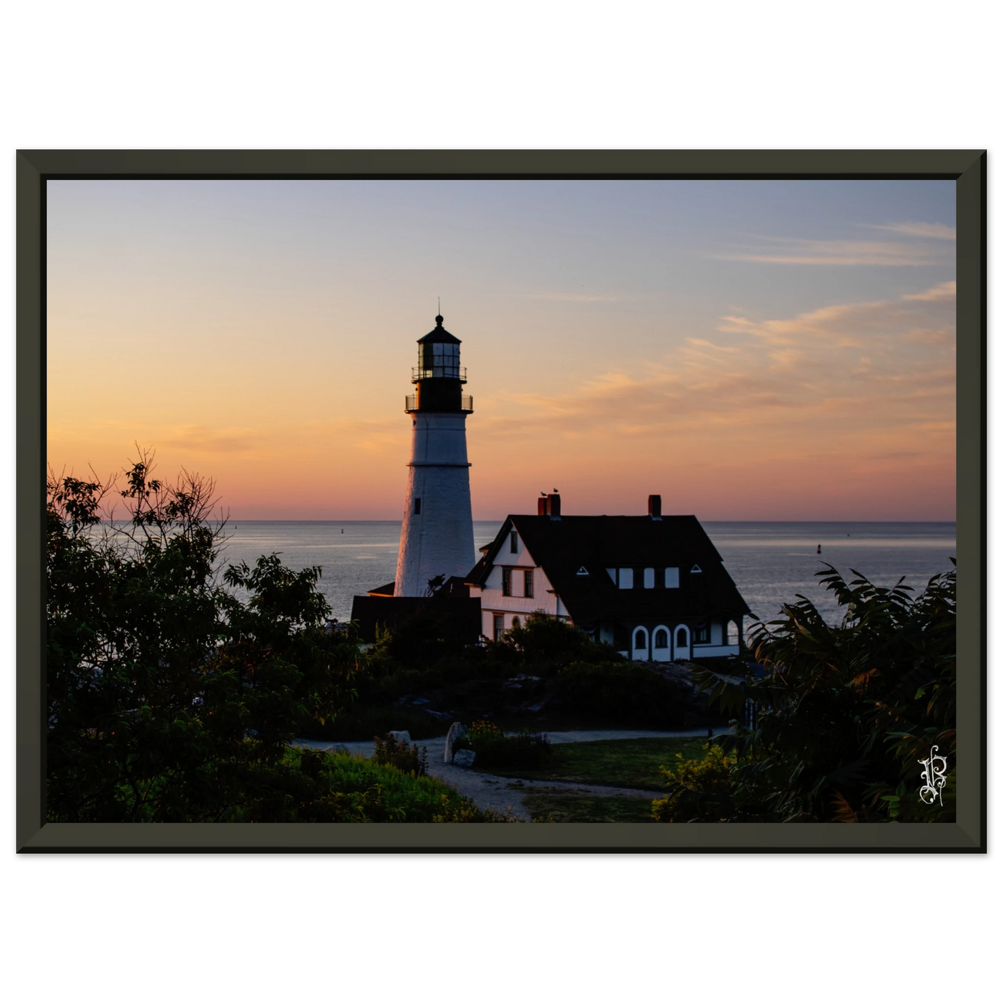 0dfa6dcc-22a1-4bd5-888e-a48a8cf44558