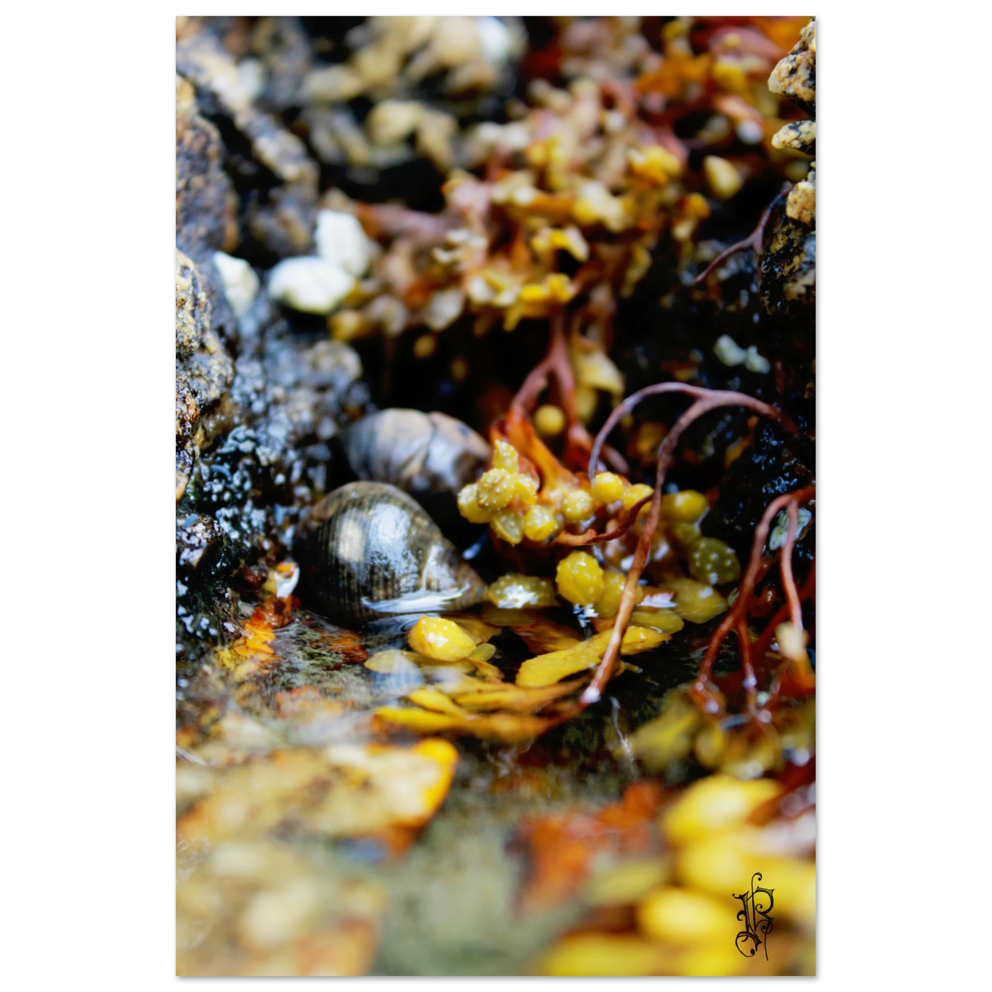 0e72867a-8432-4e30-b734-3efc3a8507d3