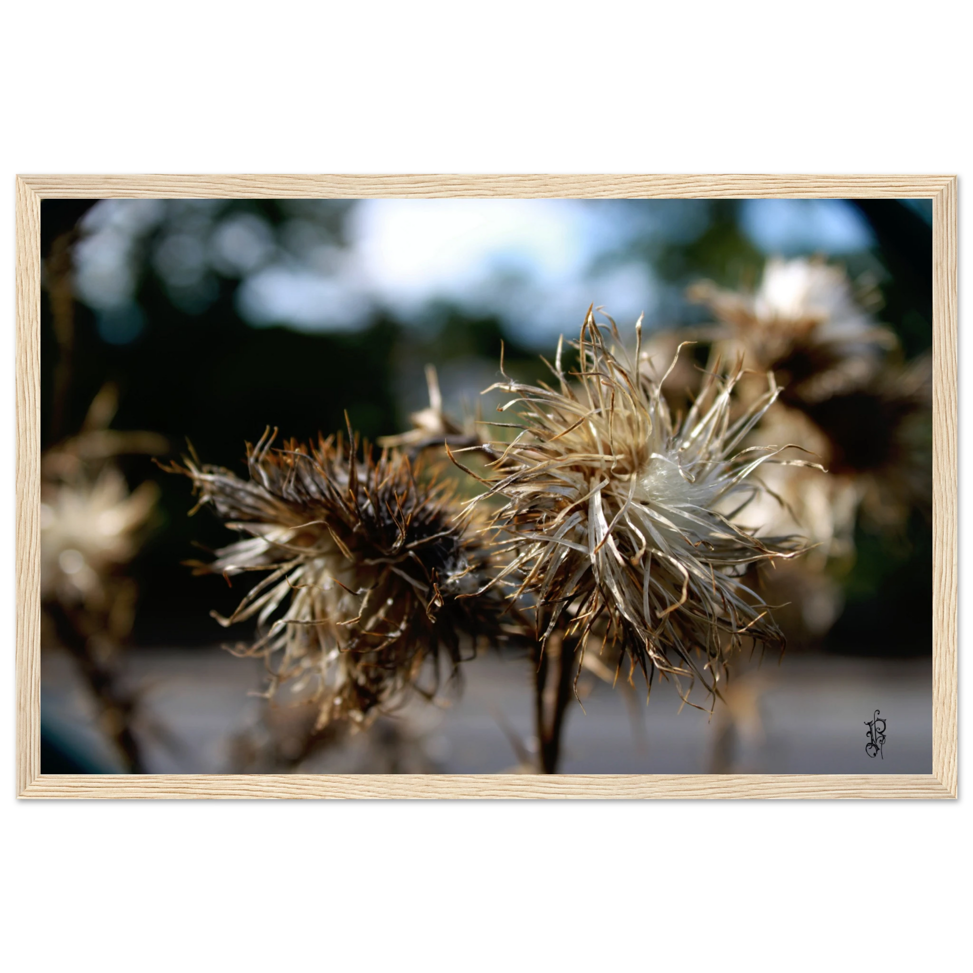 0ec0662d-1032-4c24-a345-808c47bcff74